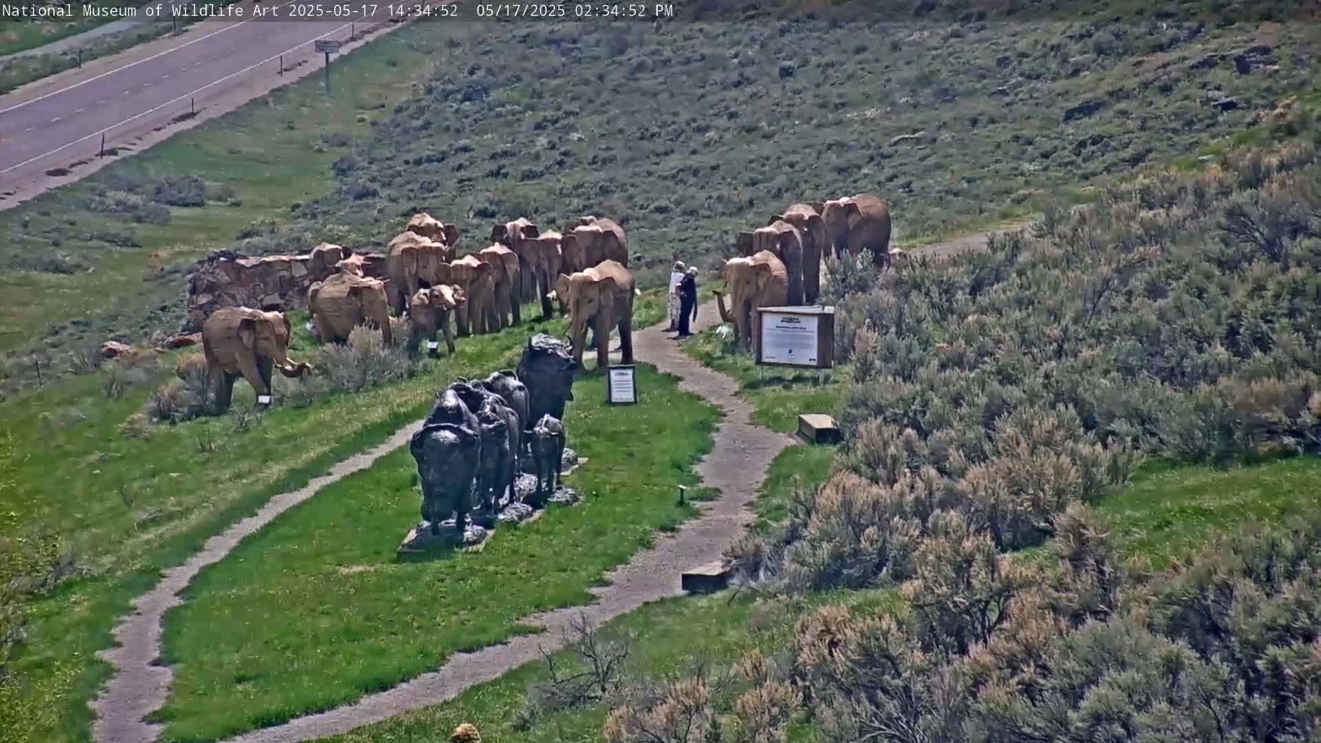 A sunny outdoor scene shows a group of elephant sculptures and a bison sculpture, with two people standing nearby on a path, next to a highway.
