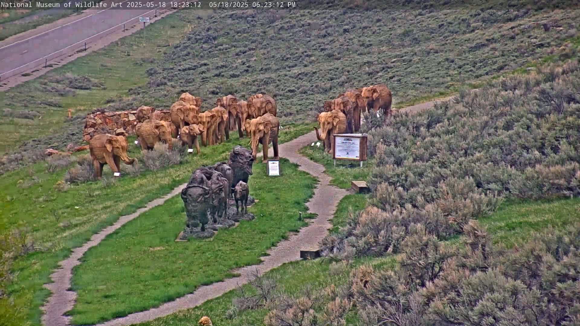 Jackson Hole, Elk Refuge from National Museum of Wildlife Art Live Cam -  Jackson, Teton, Wyoming, USA