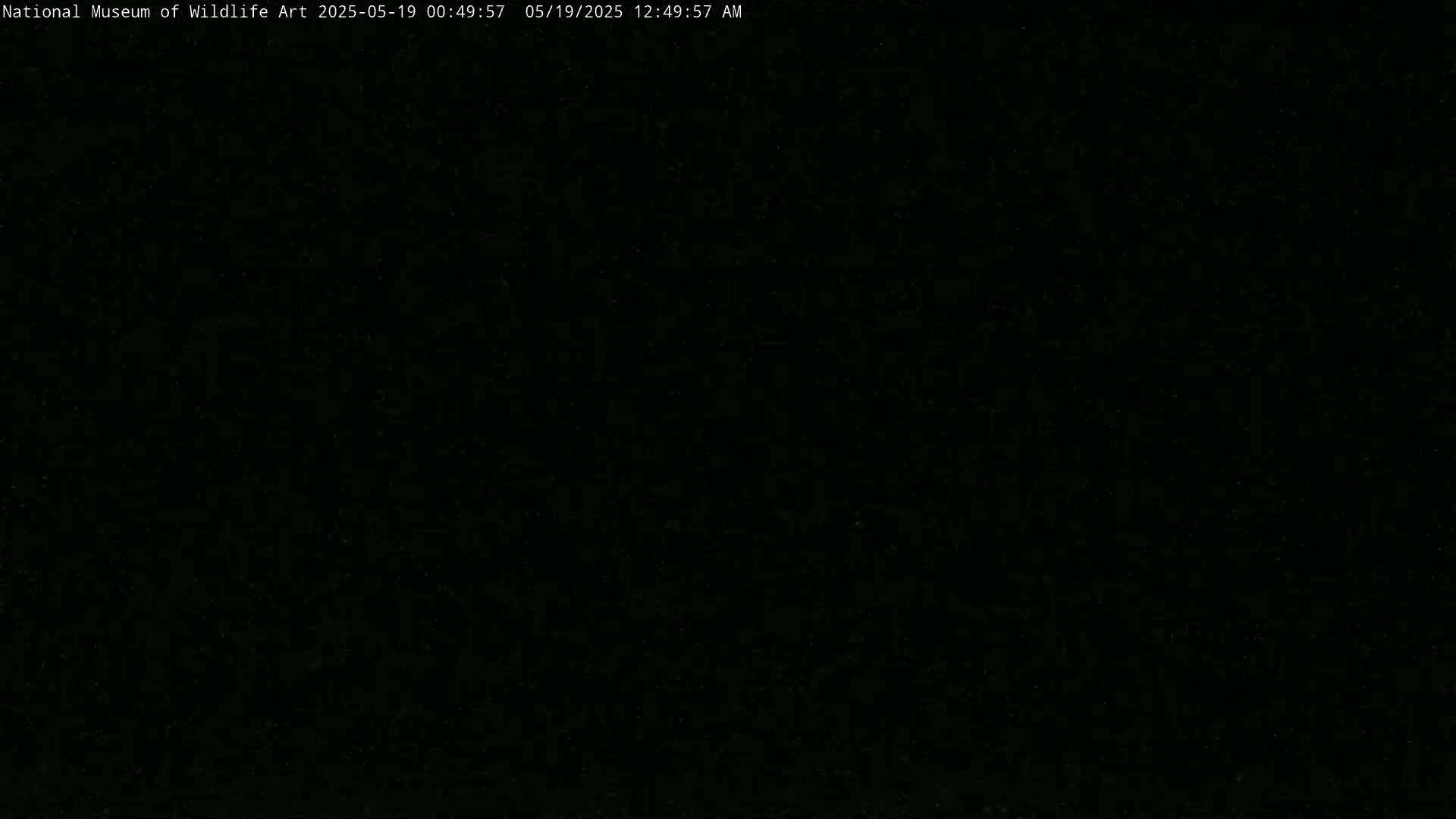 Jackson Hole, Elk Refuge from National Museum of Wildlife Art Live Cam -  Jackson, Teton, Wyoming, USA