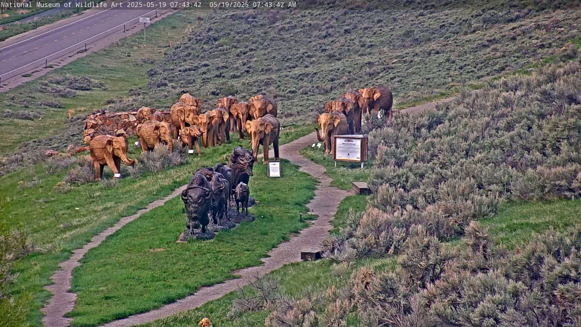 Wooden sculptures of elephants and bison are arranged along a pathway on a grassy hillside overlooking a highway, under a clear morning sky.