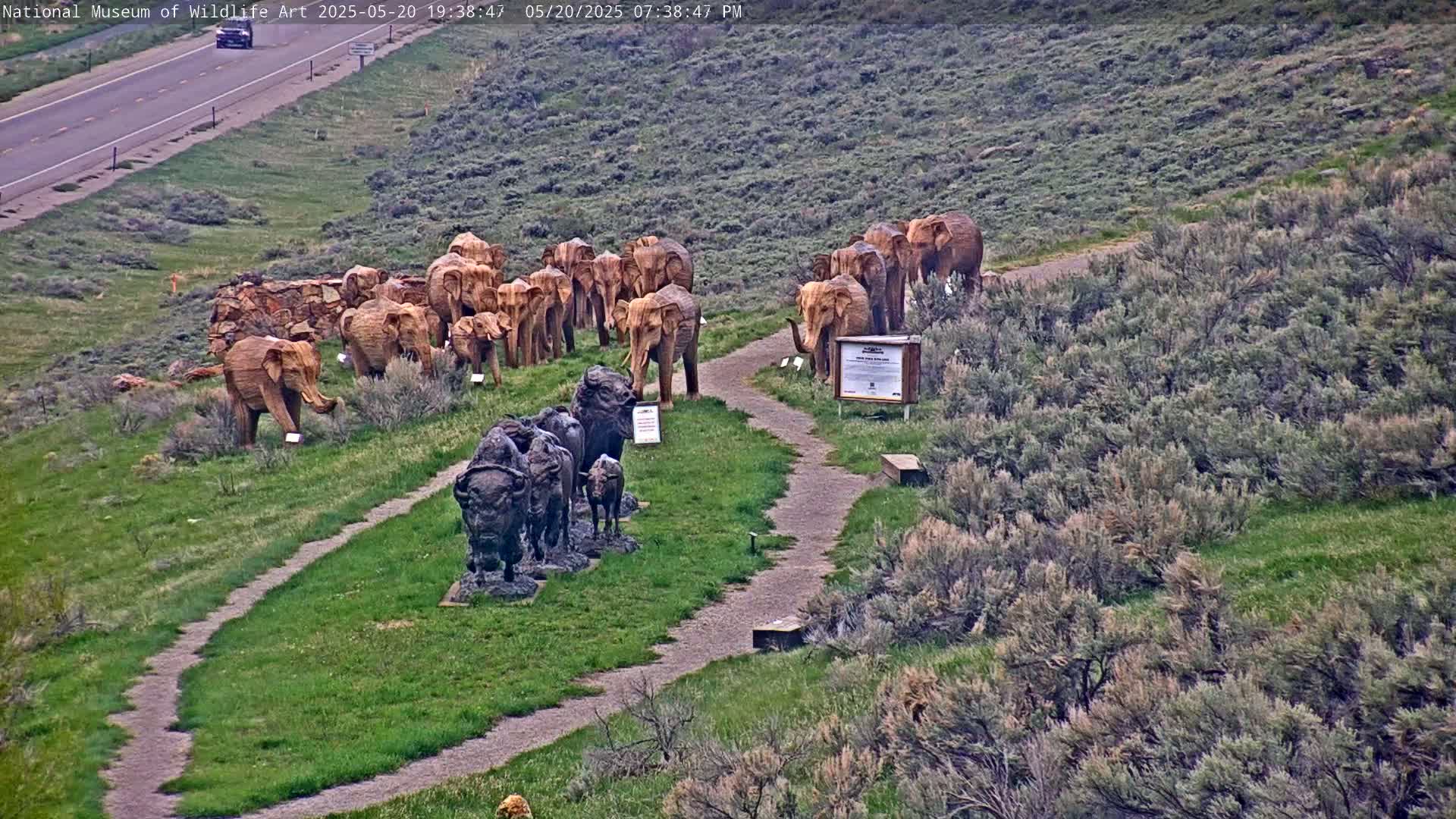Jackson Hole, Elk Refuge from National Museum of Wildlife Art Live Cam -  Jackson, Teton, Wyoming, USA
