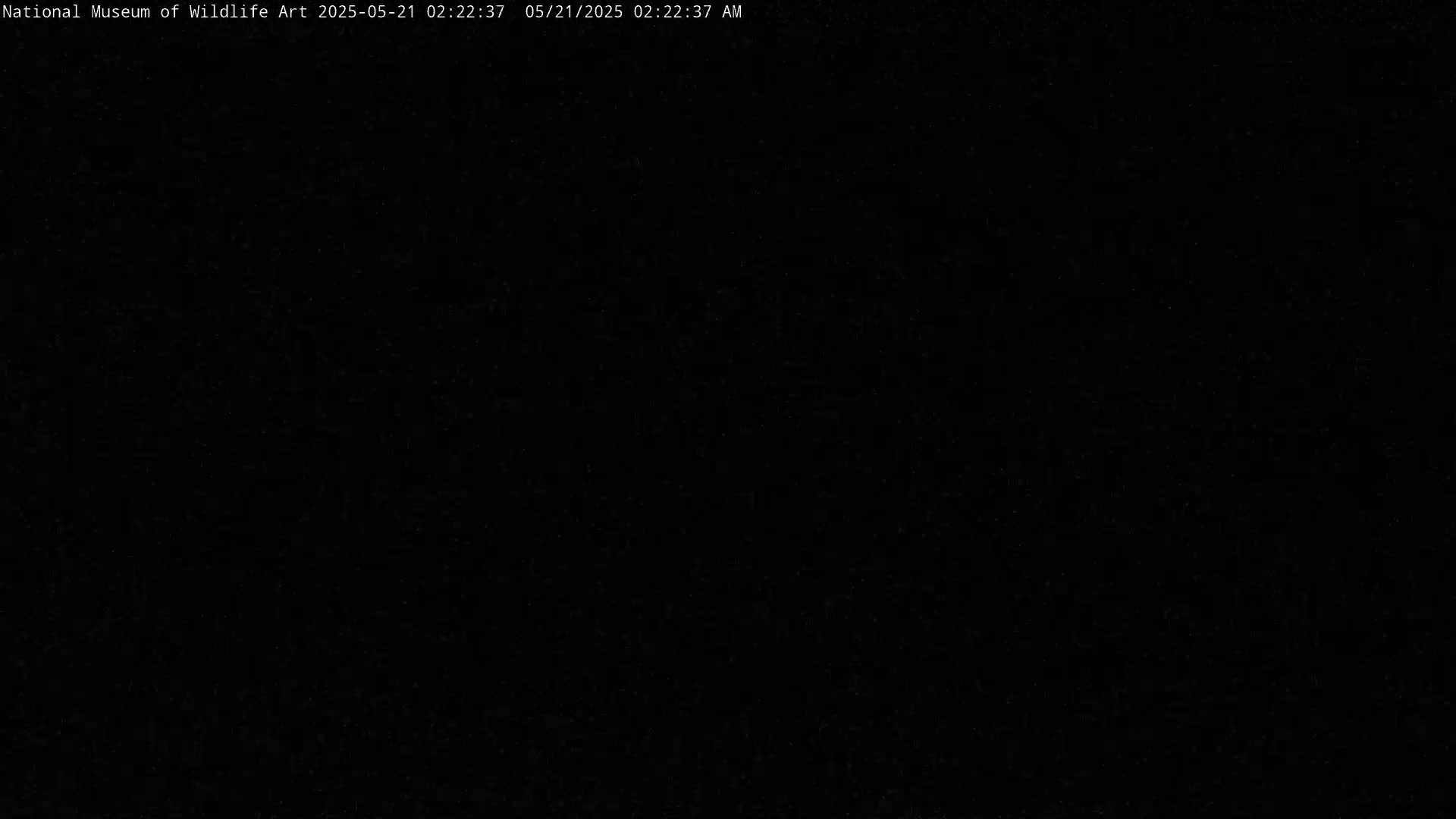 The image is a completely black screen.