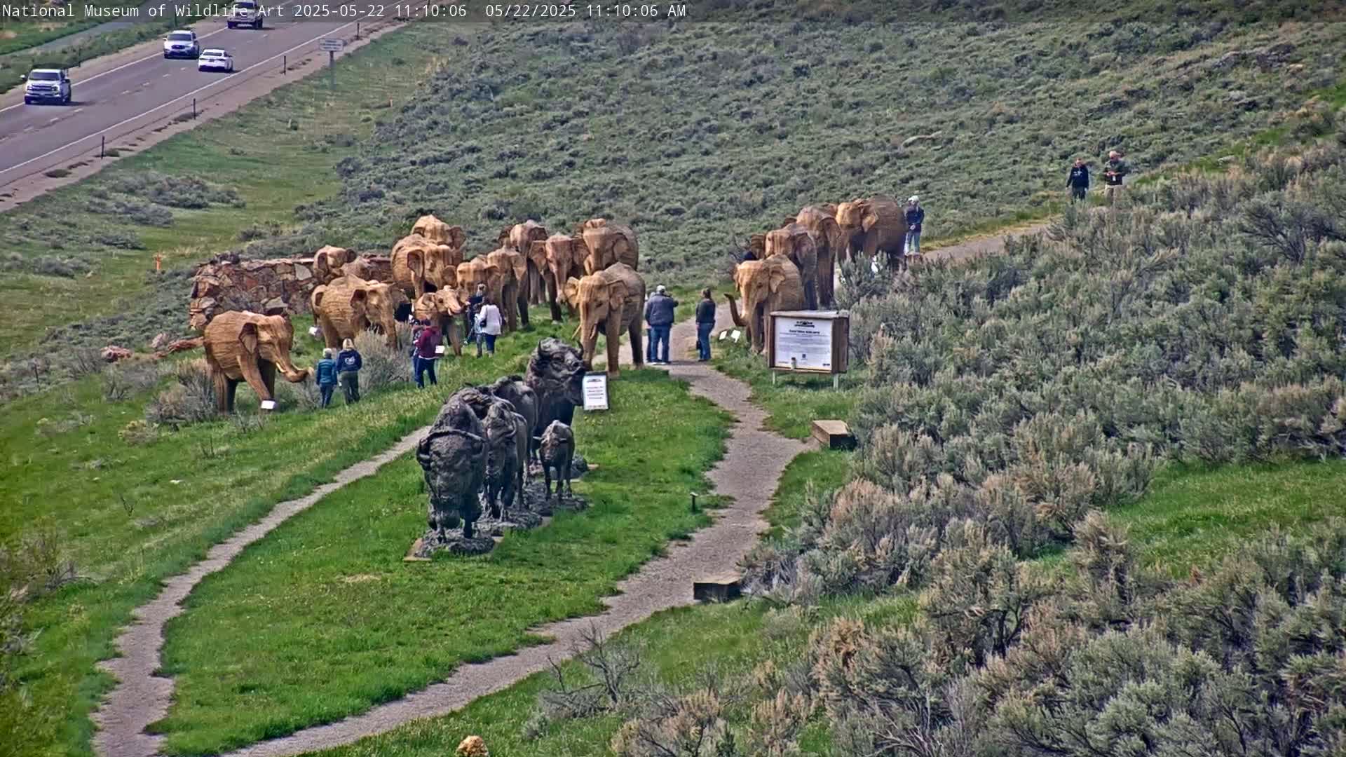 A grassy hillside with numerous wooden elephant and bison sculptures, several people observing them, and a highway visible in the background on a sunny day.