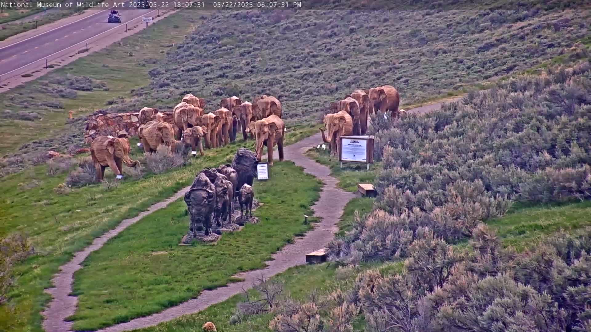 A paved pathway winds through a grassy area with several wooden elephant sculptures and a group of bison sculptures, overlooking a highway.