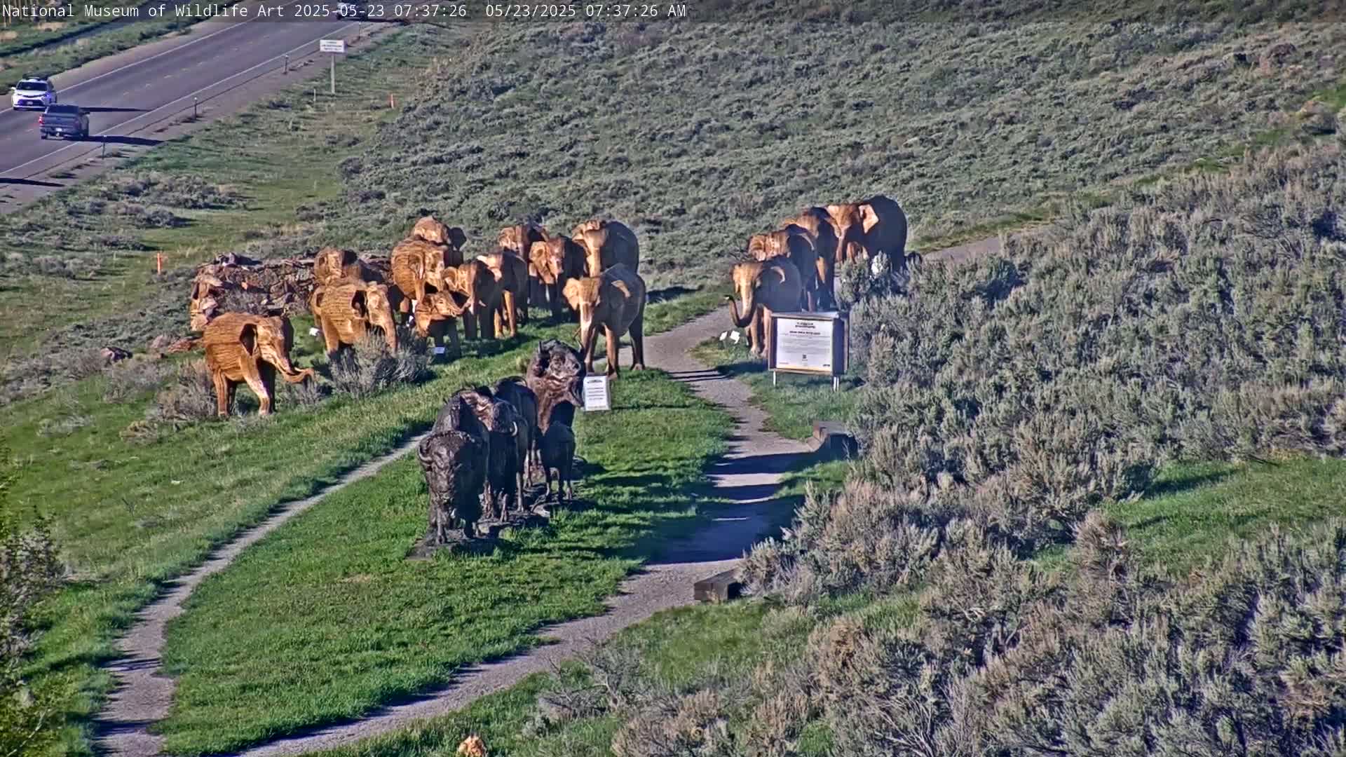 A sunny day shows several wooden elephant and buffalo sculptures on a grassy hill next to a highway.