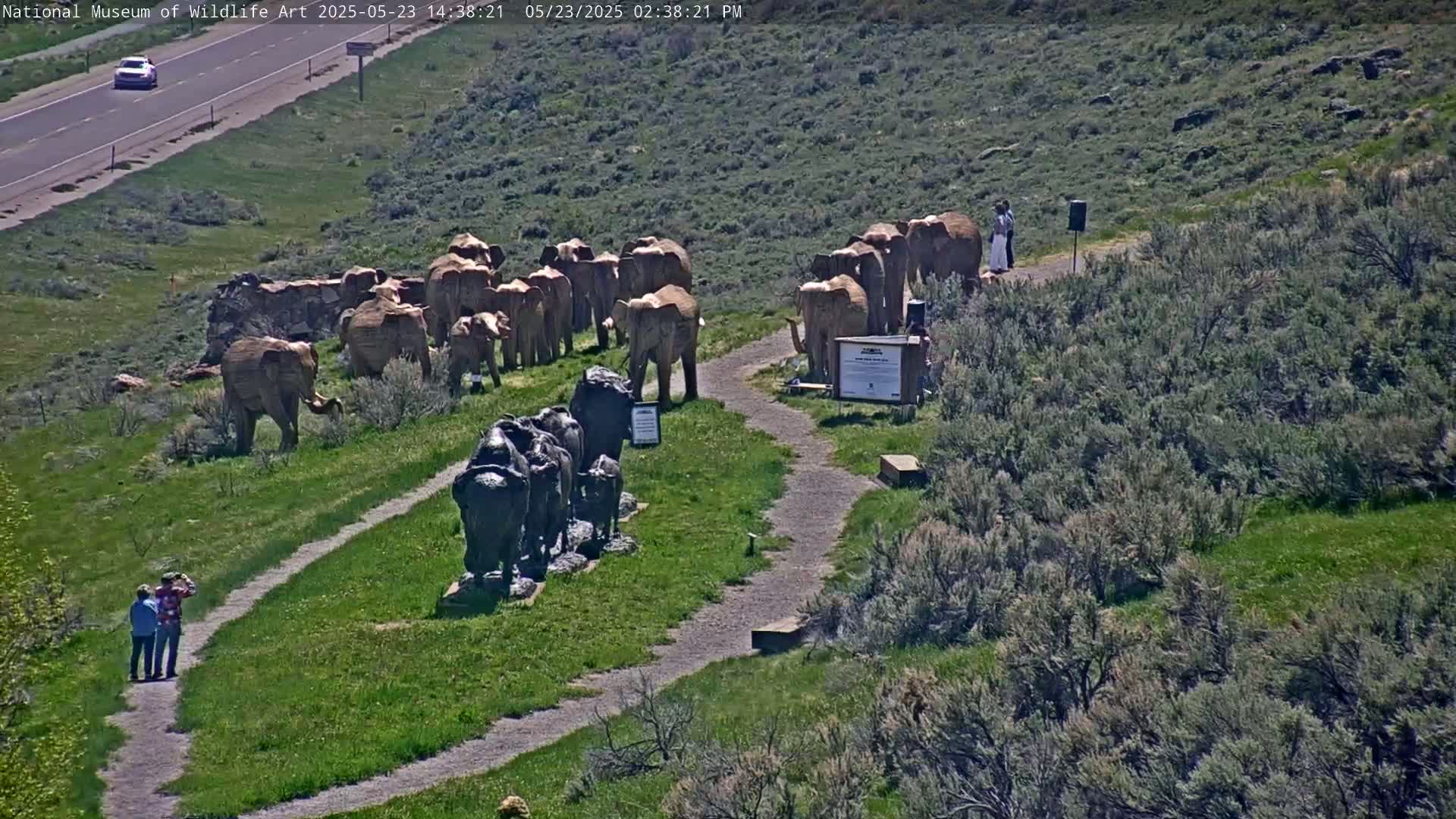 On a sunny day, a grassy hillside features numerous elephant and buffalo sculptures, with a few people observing them near a paved path and a road visible in the background.
