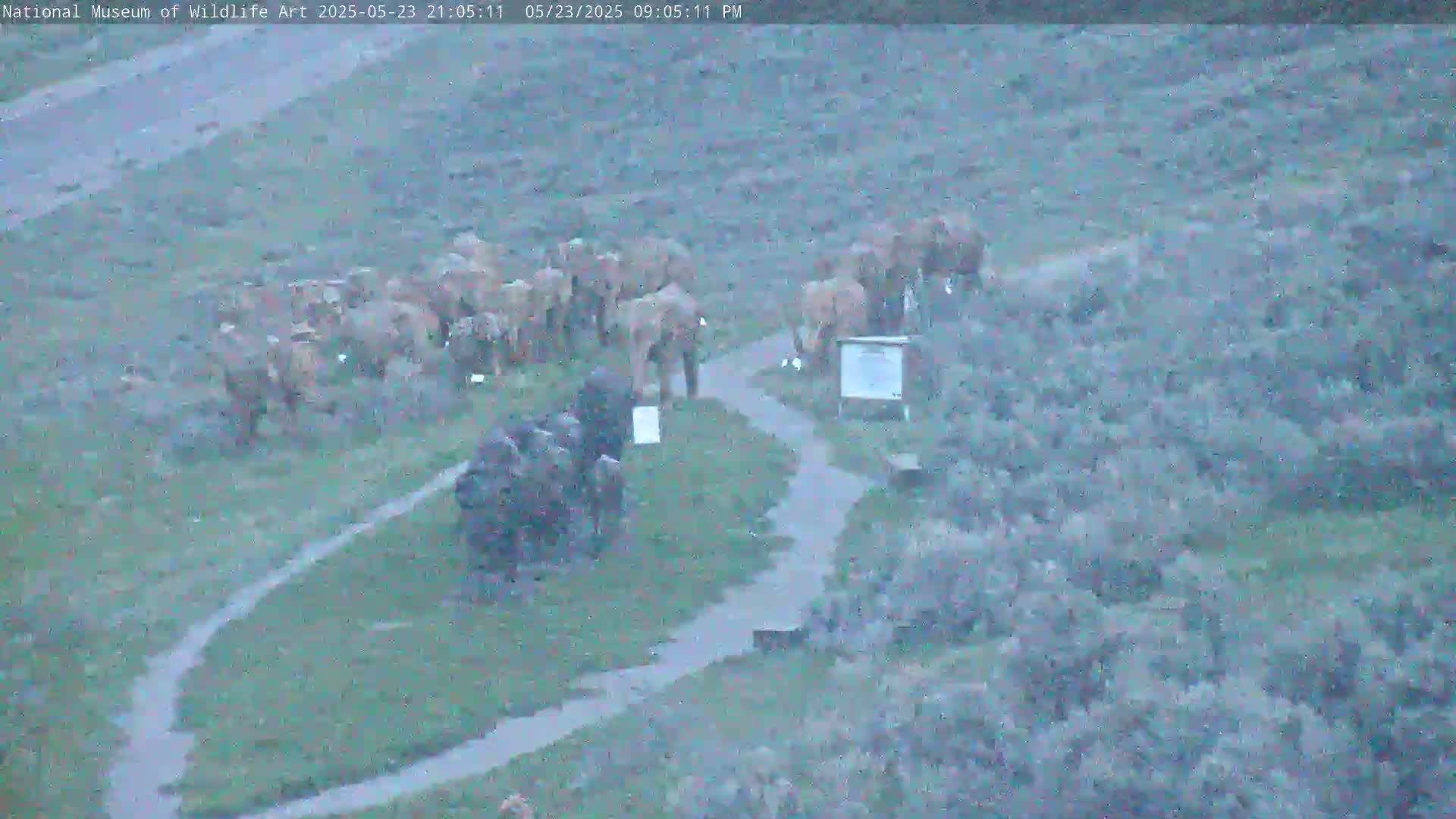 Jackson Hole, Elk Refuge from National Museum of Wildlife Art Live Cam -  Jackson, Teton, Wyoming, USA