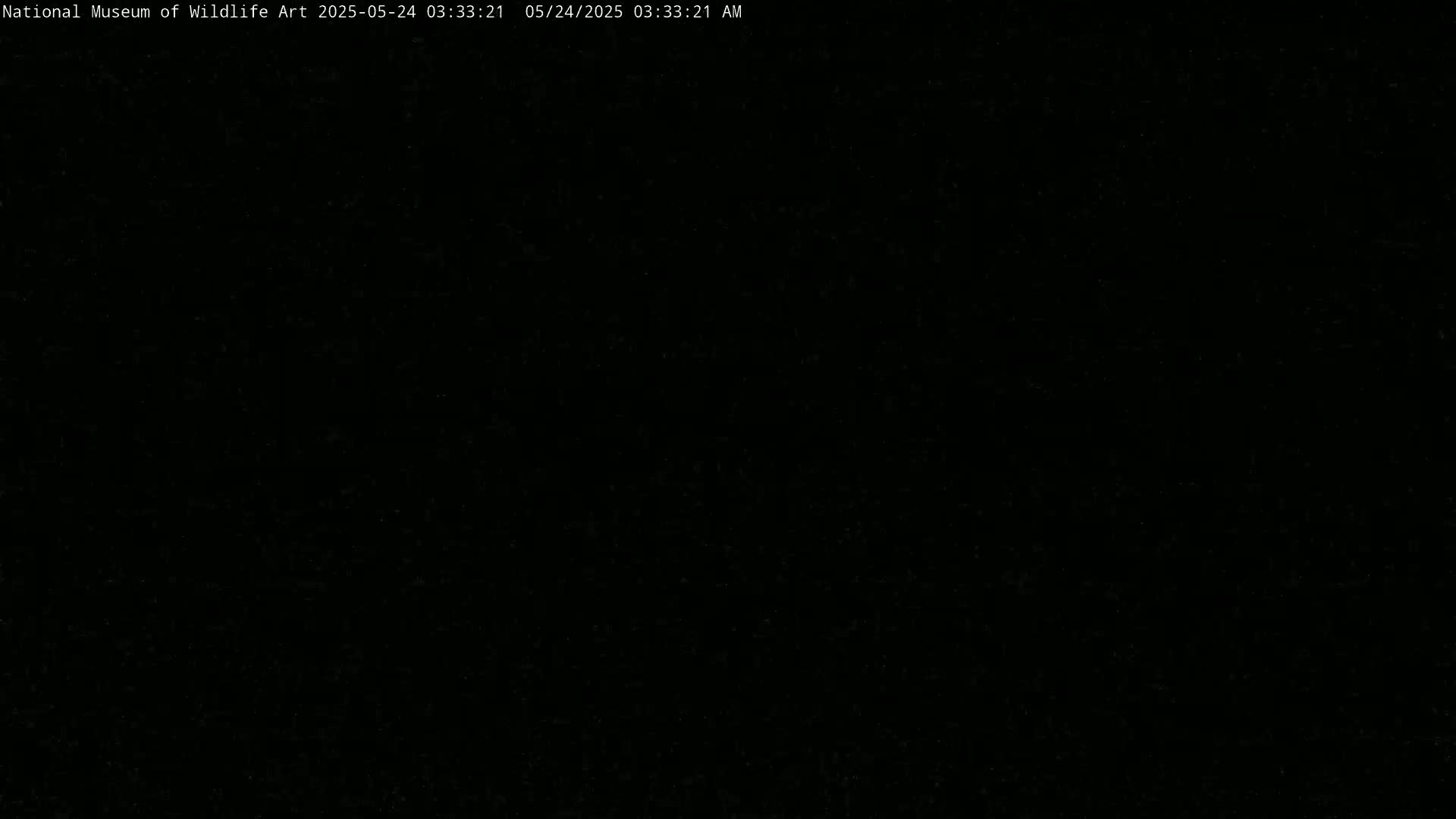 The image is completely black.