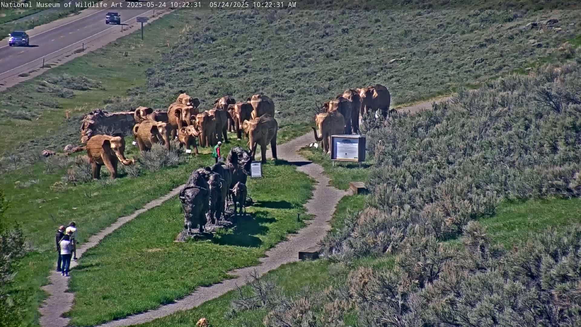 An outdoor scene on a sunny day shows several elephant and buffalo sculptures arranged along a pathway, with a few people standing nearby and a highway visible in the background.