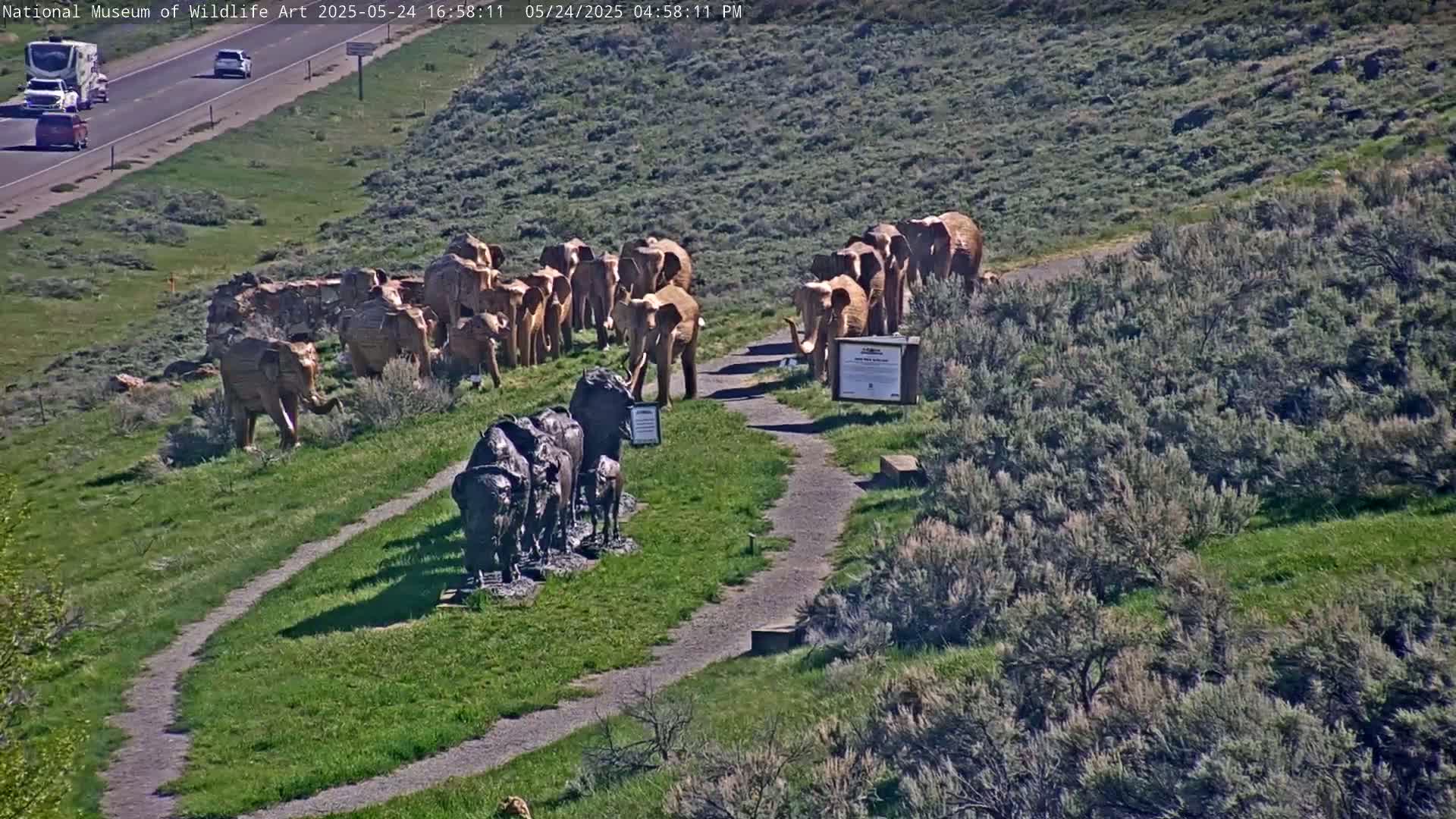 A sunny outdoor scene shows two groups of bronze animal sculptures, one of elephants and one of bison, situated on a grassy hillside next to a paved path and a highway.