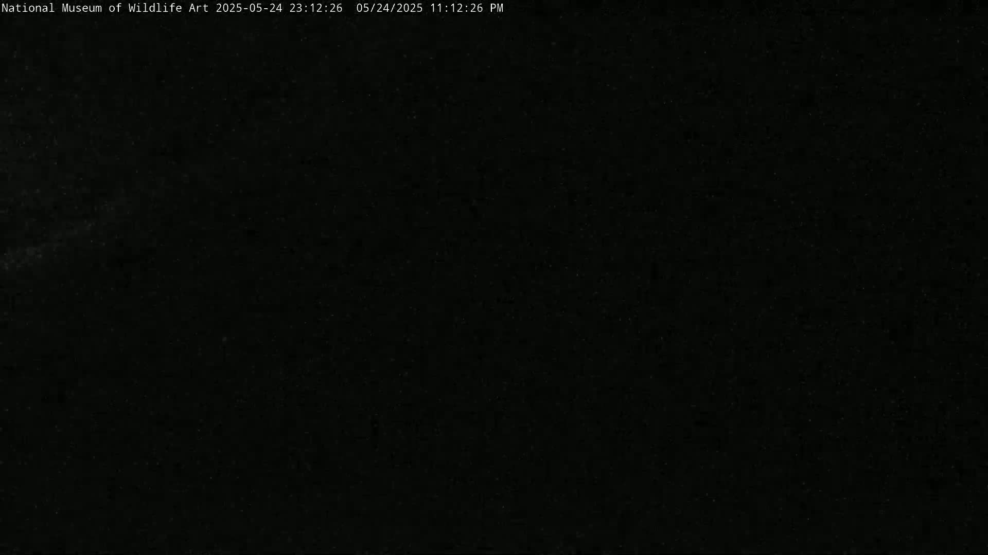 Jackson Hole, Elk Refuge from National Museum of Wildlife Art Live Cam -  Jackson, Teton, Wyoming, USA