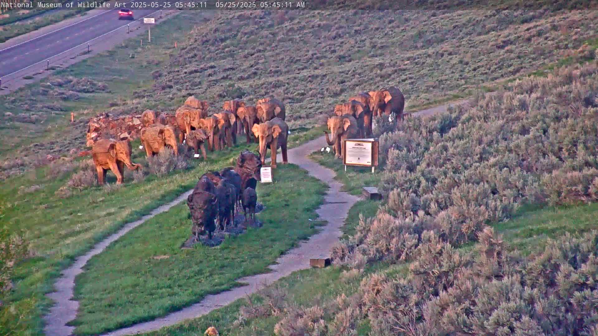 A paved path winds through a grassy area with numerous wooden elephant and buffalo sculptures, situated near a highway under a clear sky.