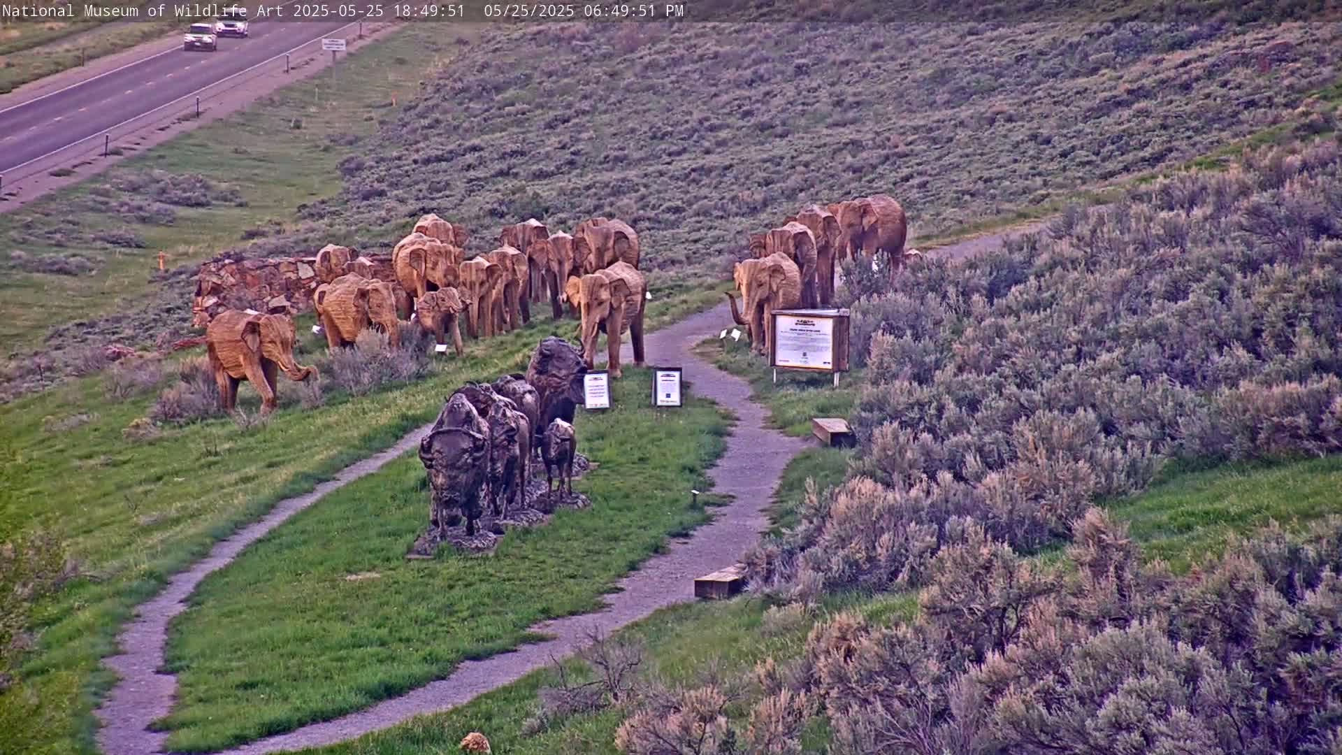 Jackson Hole, Elk Refuge from National Museum of Wildlife Art Live Cam -  Jackson, Teton, Wyoming, USA
