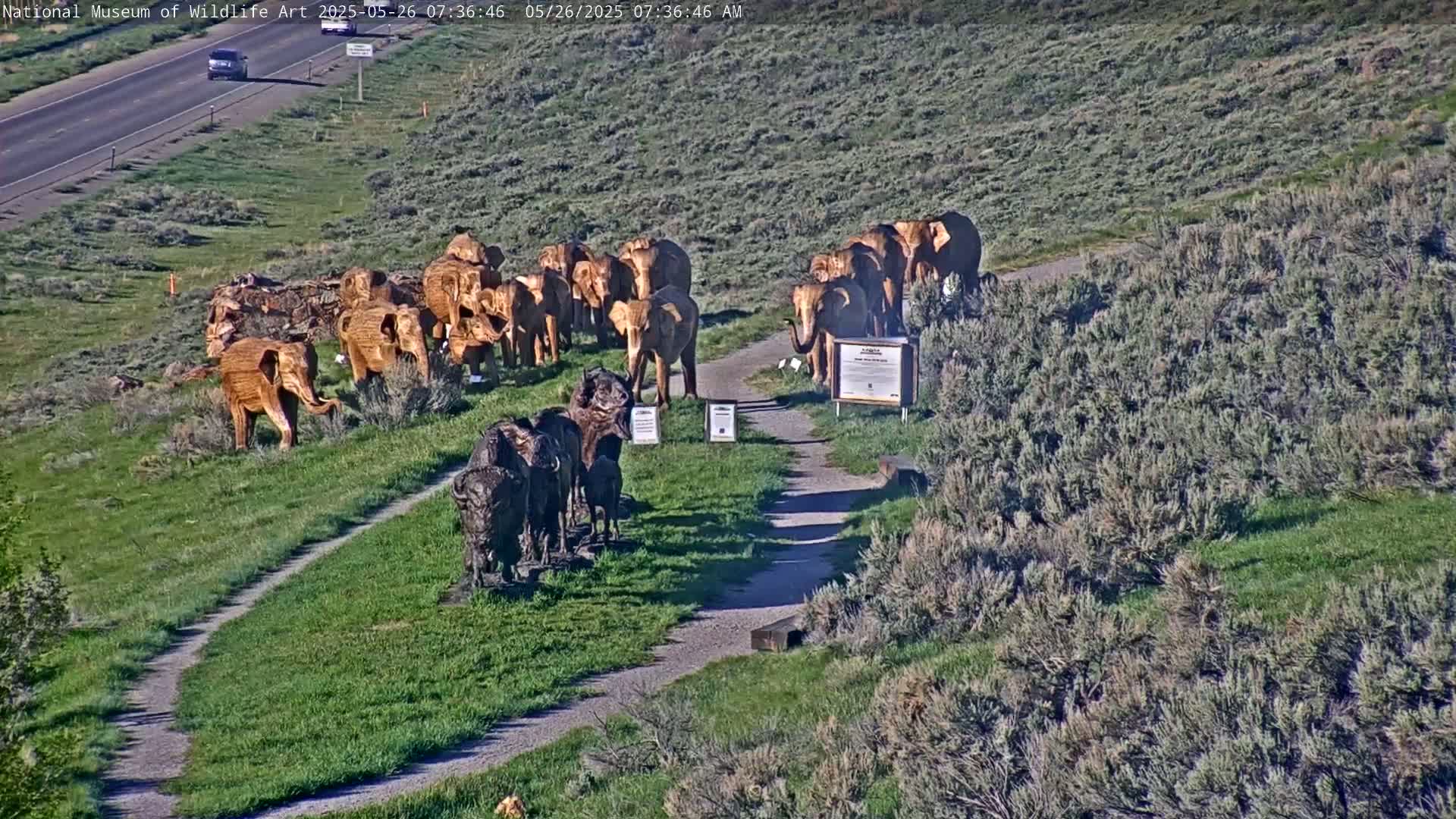 A sunny outdoor scene shows a pathway leading to numerous carved wooden elephants and bison sculptures situated on a grassy hillside beside a highway.