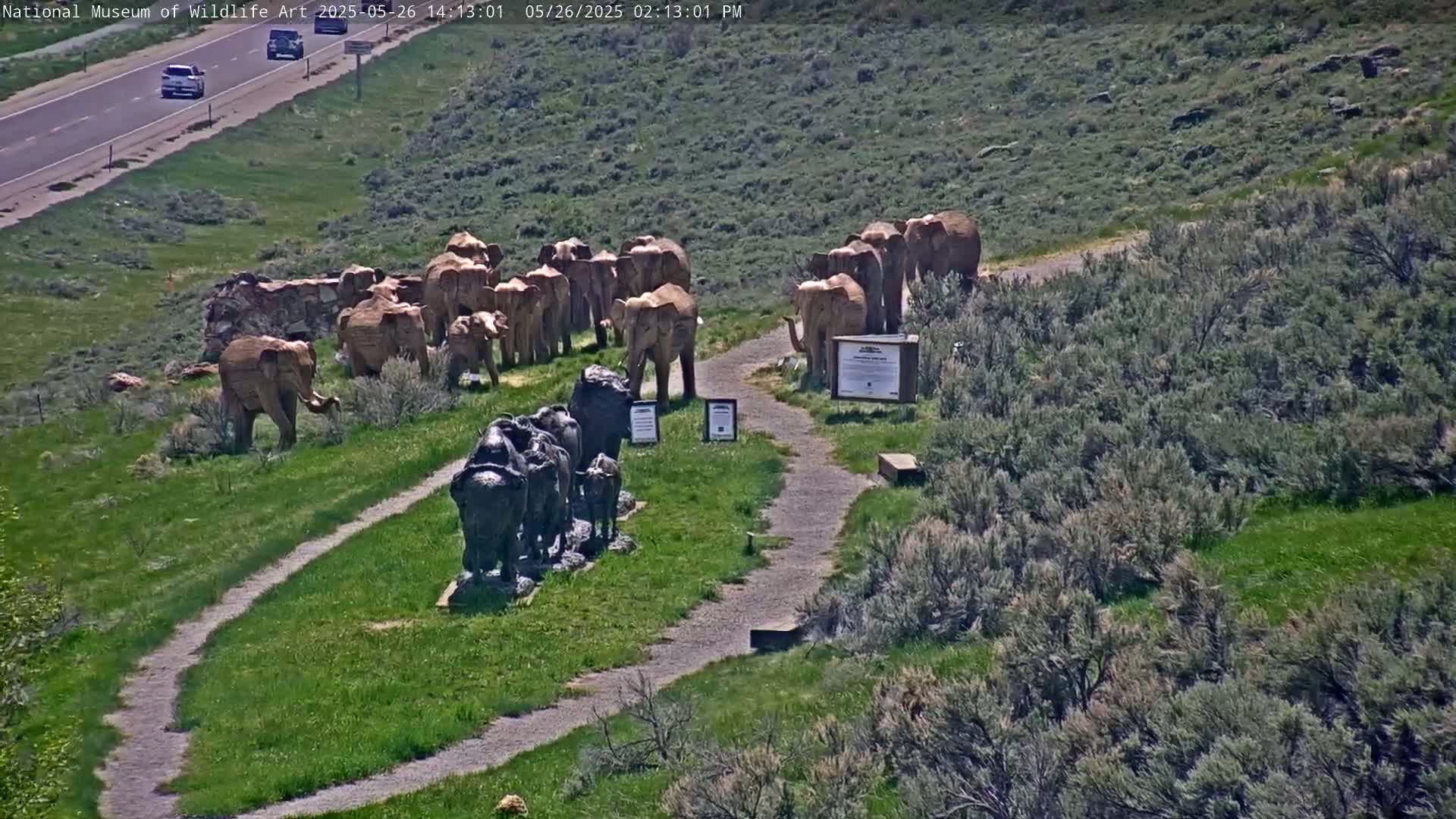 Jackson Hole, Elk Refuge from National Museum of Wildlife Art Live Cam -  Jackson, Teton, Wyoming, USA