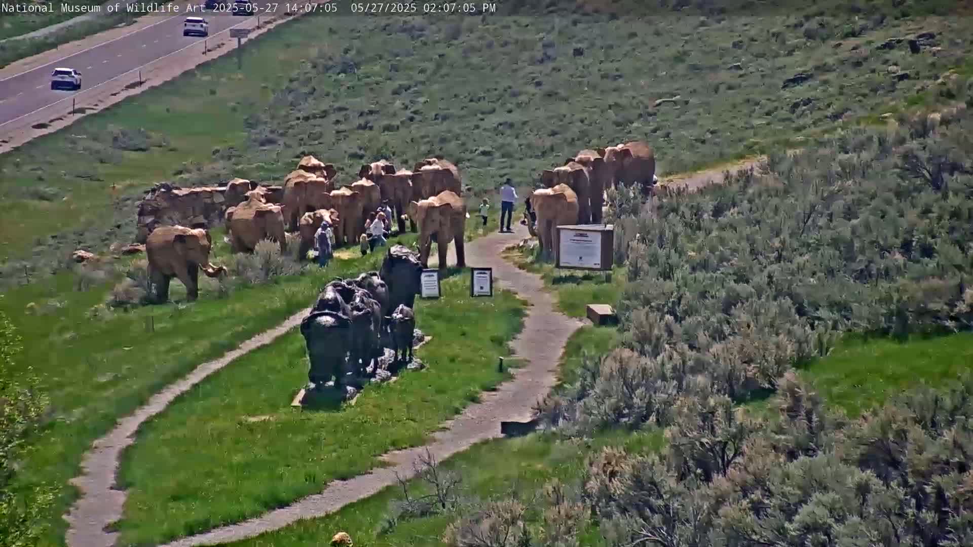 A sunny outdoor scene shows a herd of elephant sculptures near a walking path and several people observing them, with a highway visible in the background.