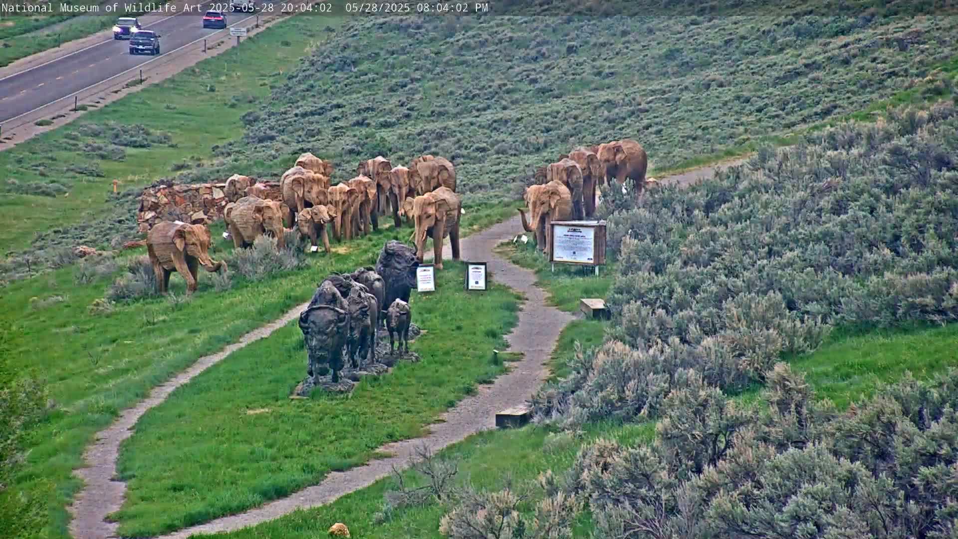 An outdoor scene shows a paved path winding through grassy land dotted with low shrubs, featuring numerous elephant and bison sculptures, with a highway visible in the background.
