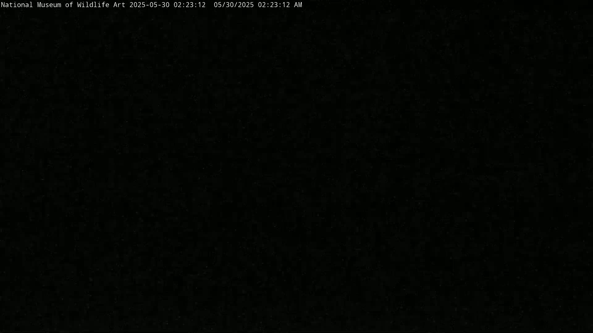 The image is a solid black screen.