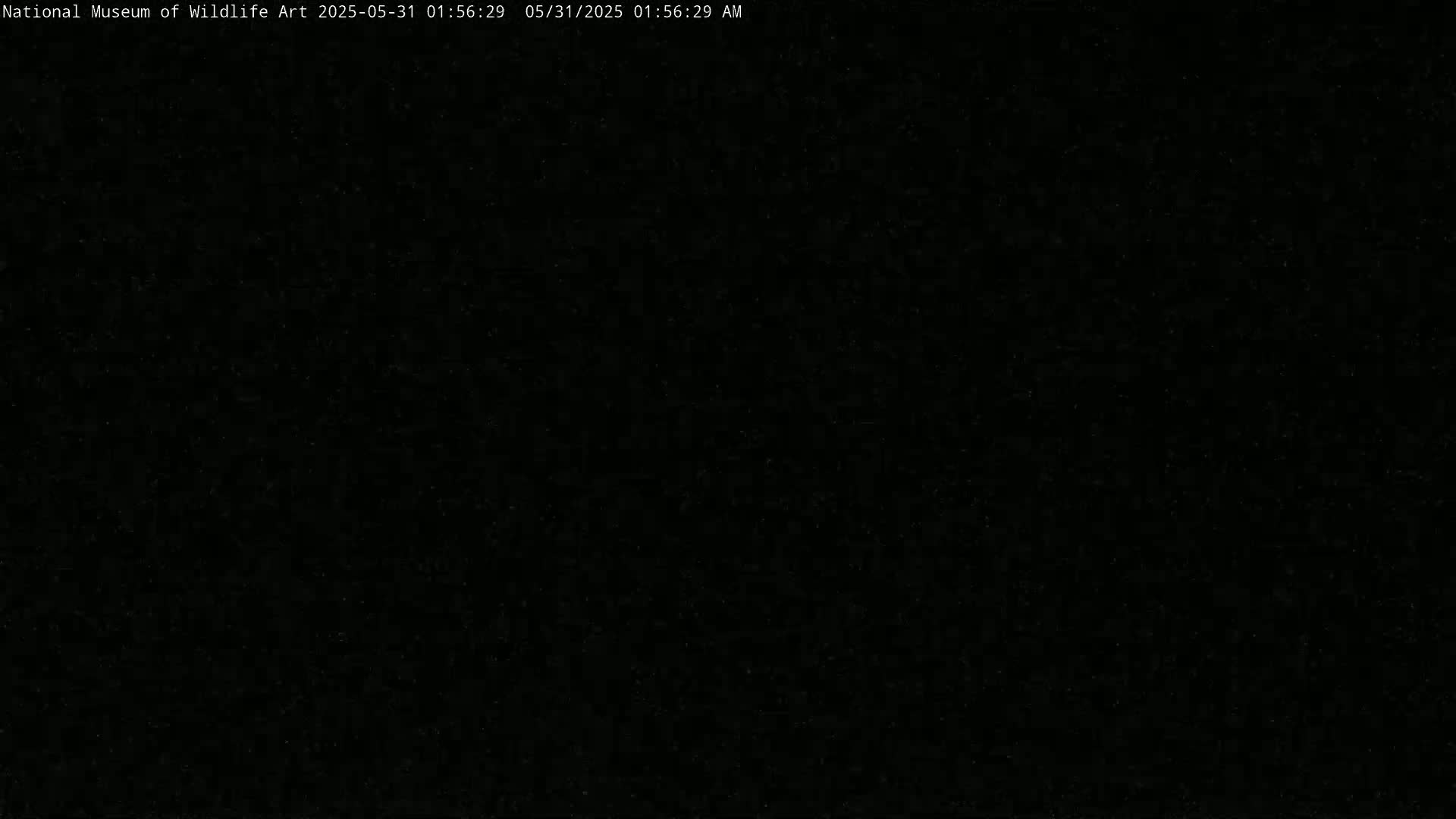 The image is completely black.