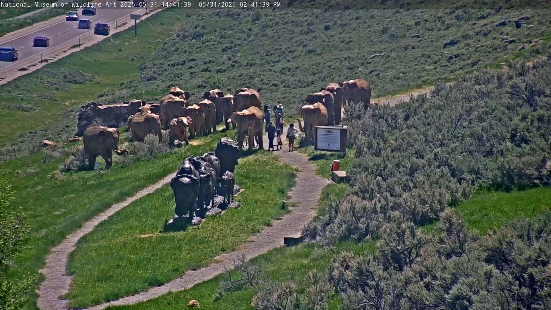 A sunny day reveals a herd of elephant statues and a group of people standing near a path, with a separate grouping of buffalo statues nearby.