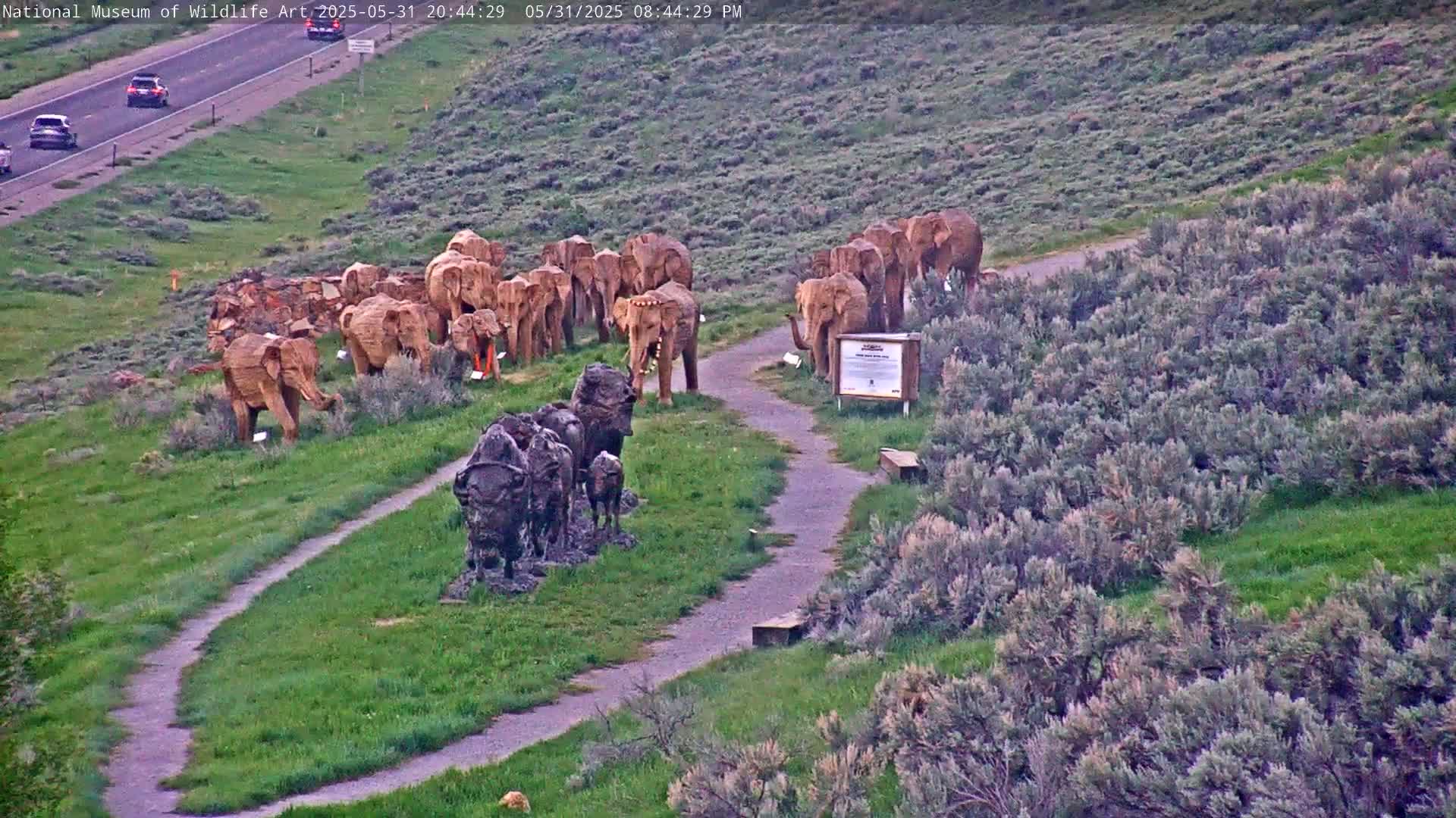 Jackson Hole, Elk Refuge from National Museum of Wildlife Art Live Cam -  Jackson, Teton, Wyoming, USA