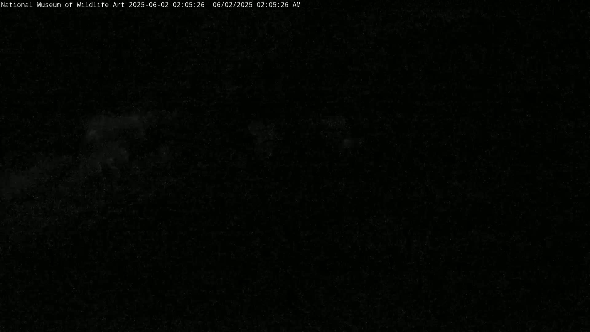 A nighttime image shows a mostly dark sky with faint, speckled clouds.
