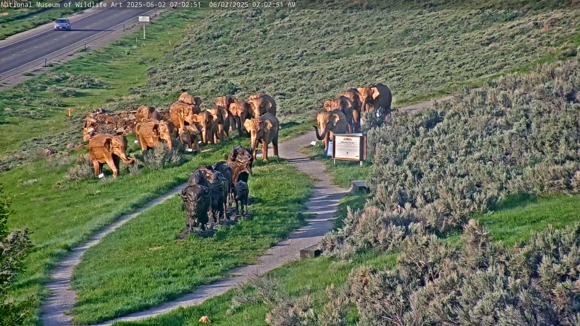 A herd of carved wooden elephants and bison stand in a grassy field next to a paved pathway, with a highway visible in the background under a bright, sunny sky.