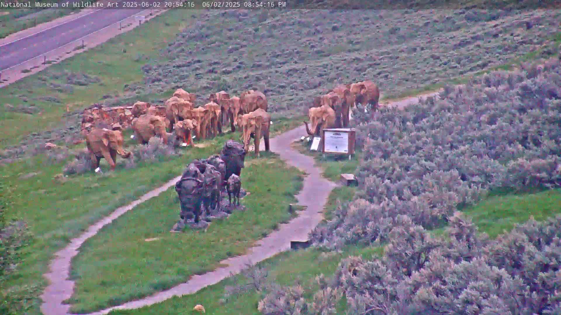 Jackson Hole, Elk Refuge from National Museum of Wildlife Art Live Cam -  Jackson, Teton, Wyoming, USA