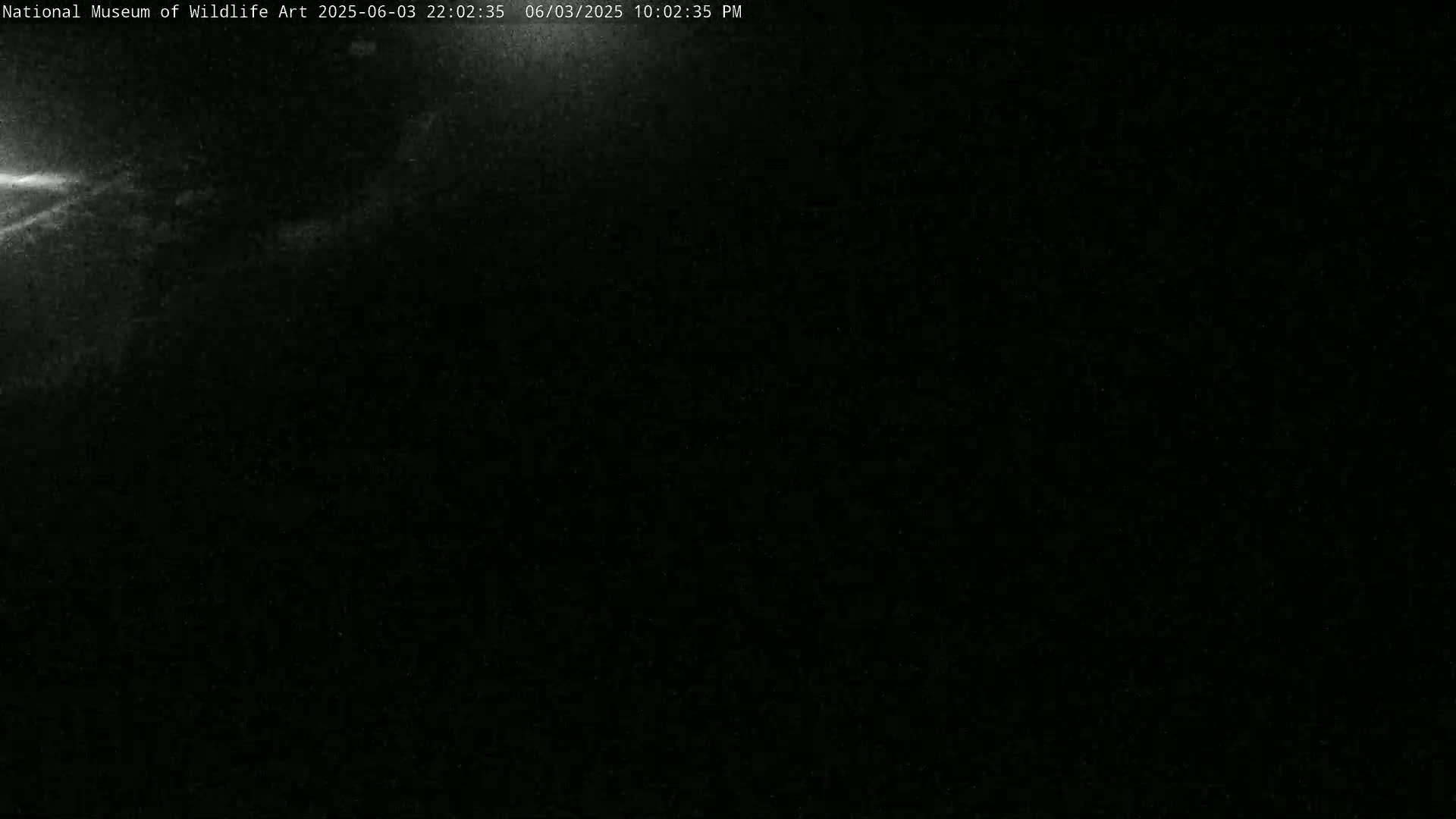A nighttime, dark scene shows faint, bright streaks across a mostly black sky.