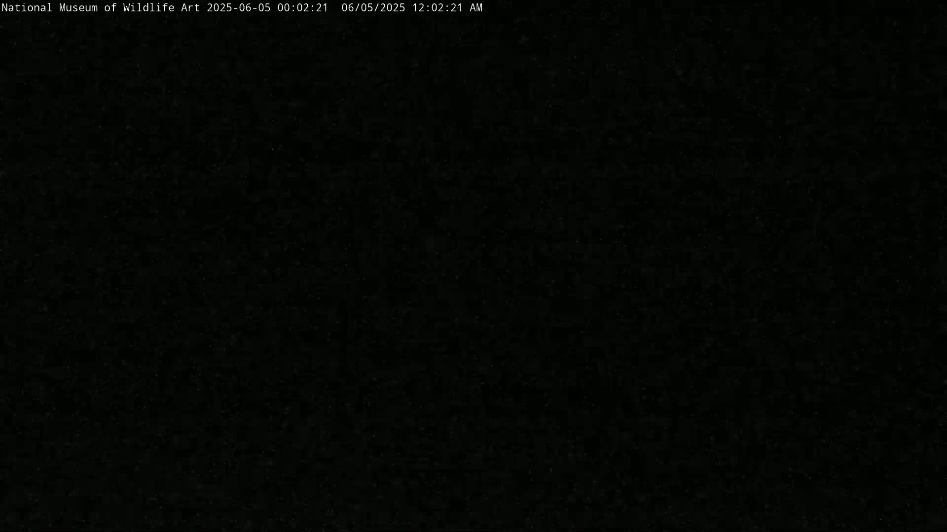 Jackson Hole, Elk Refuge from National Museum of Wildlife Art Live Cam -  Jackson, Teton, Wyoming, USA