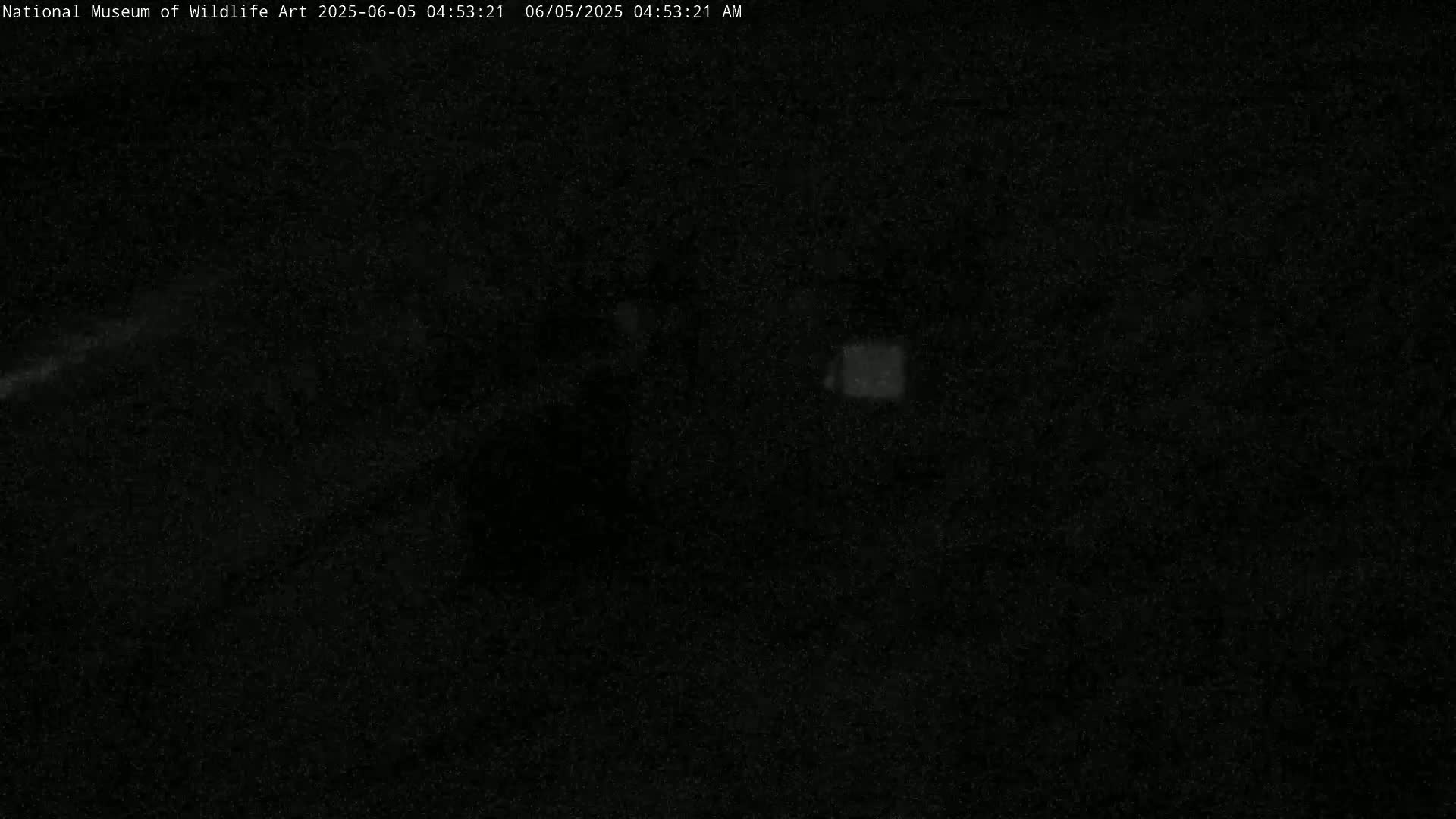 A very dark, grainy image shows a mostly black scene with a faint, indistinct light source in the center-right.