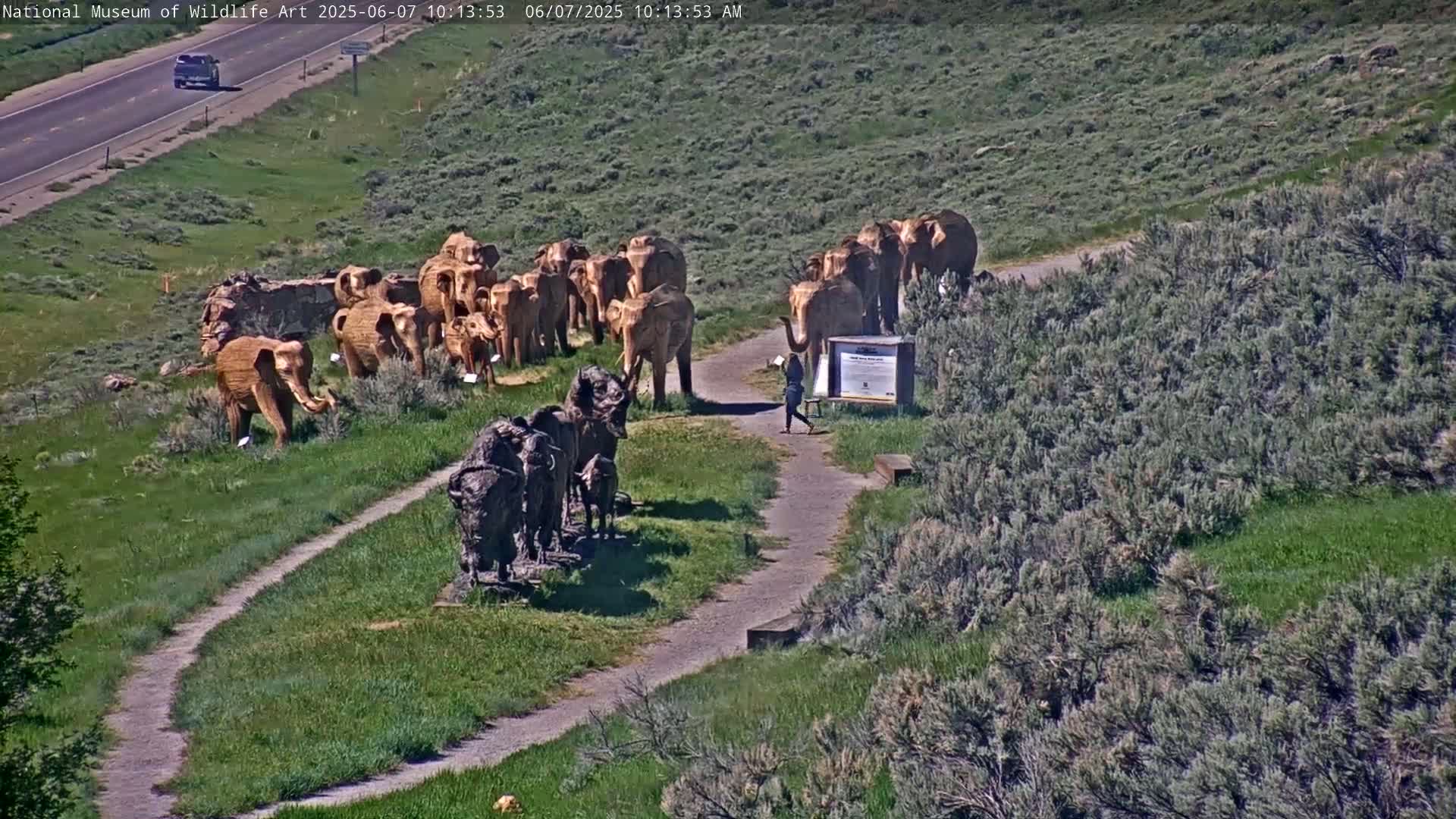 A paved path winds through a grassy area with numerous elephant and bison statues, near a highway on a sunny day.