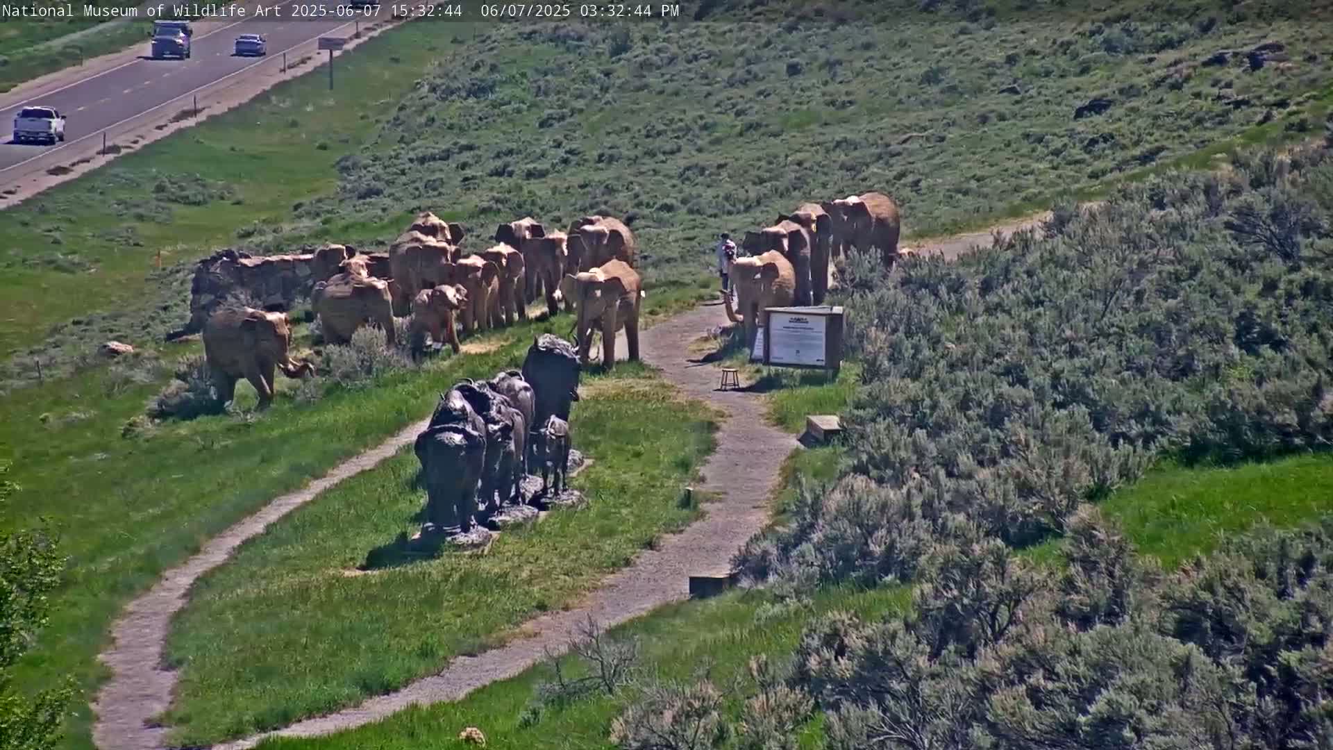 A sunny outdoor scene shows a path winding through grassy hills past bronze sculptures of buffalo and a large group of elephant statues.