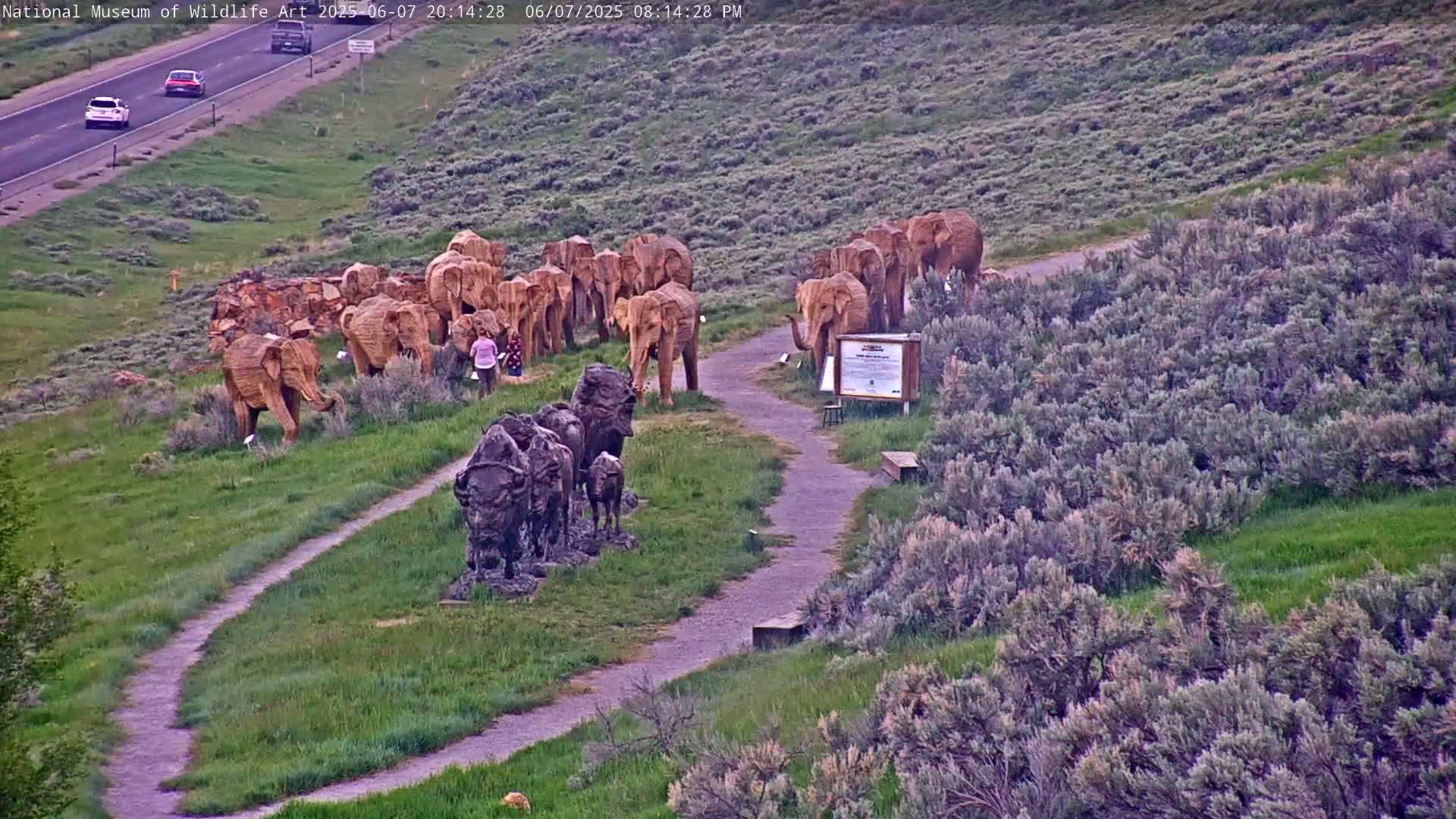 Jackson Hole, Elk Refuge from National Museum of Wildlife Art Live Cam -  Jackson, Teton, Wyoming, USA