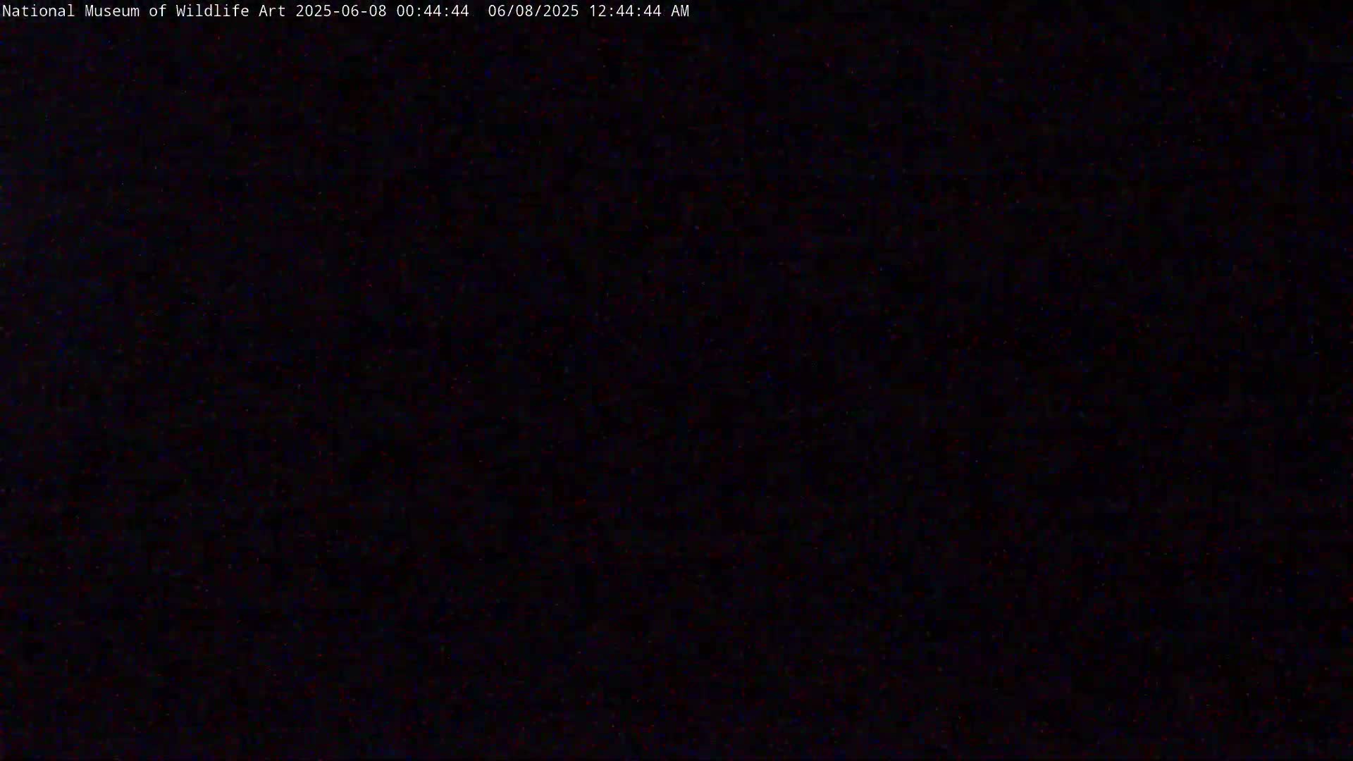Jackson Hole, Elk Refuge from National Museum of Wildlife Art Live Cam -  Jackson, Teton, Wyoming, USA