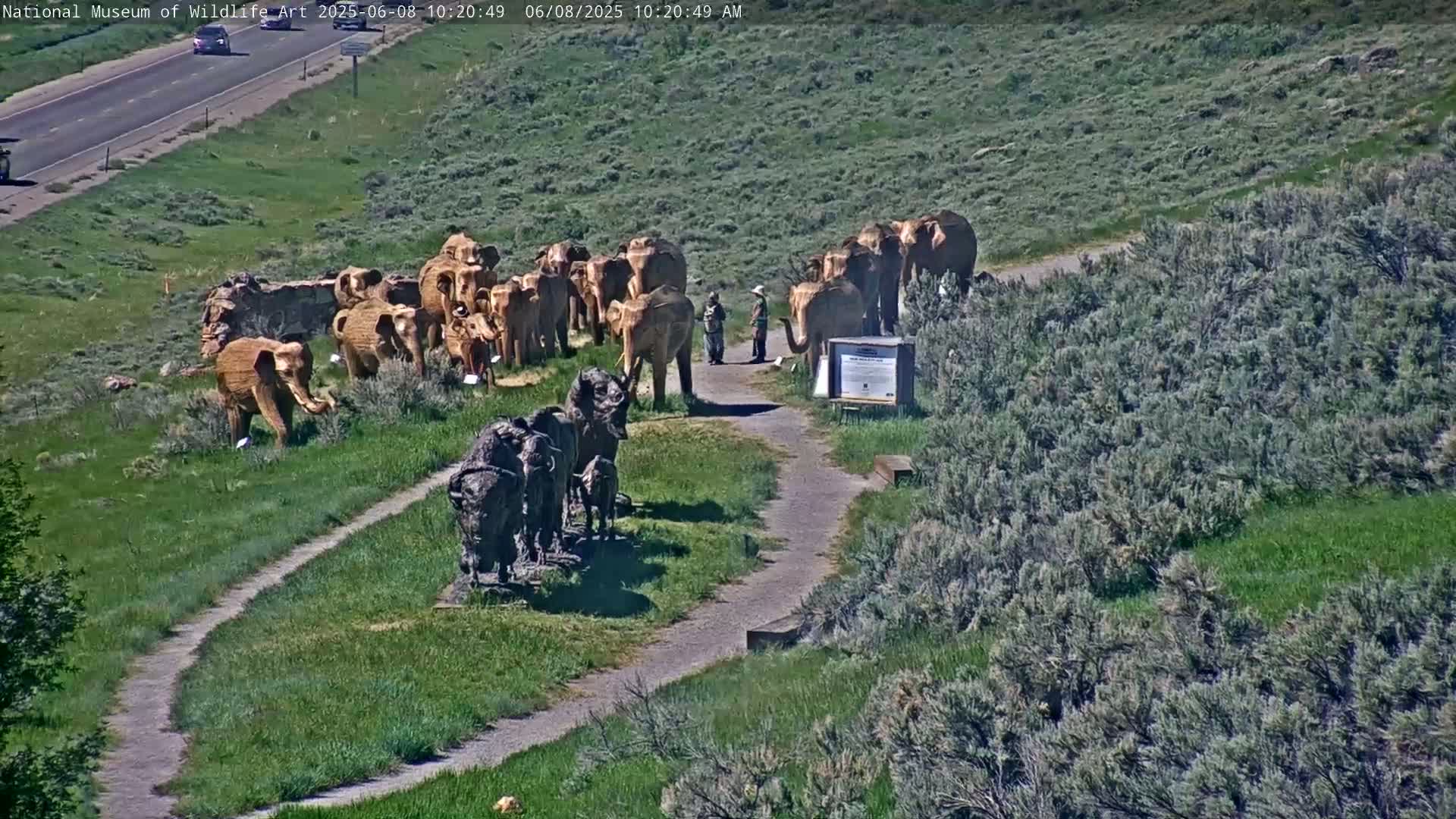 A paved path winds through a grassy area, lined with numerous elephant and bison statues, under a sunny sky near a highway.