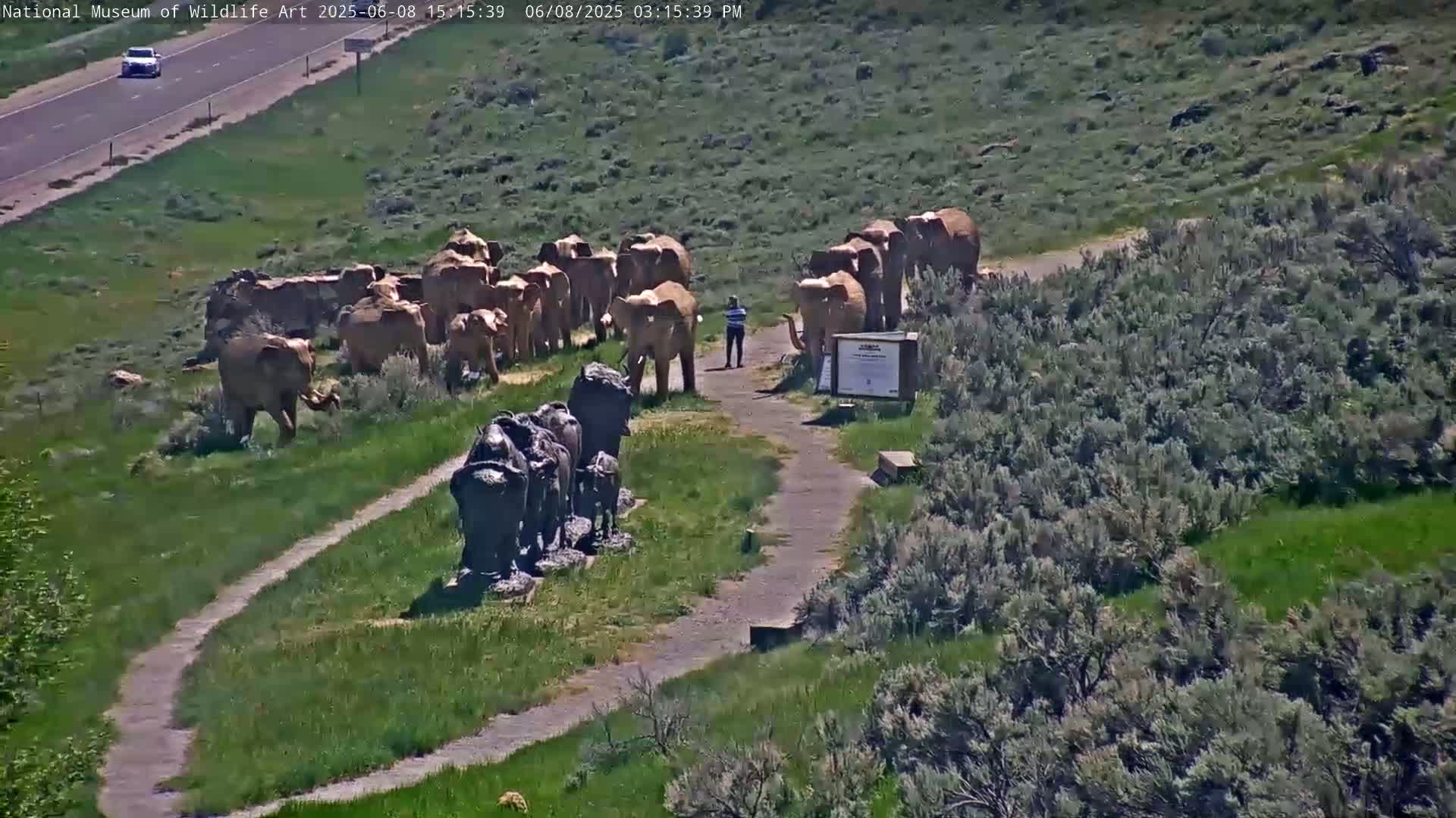 Jackson Hole, Elk Refuge from National Museum of Wildlife Art Live Cam -  Jackson, Teton, Wyoming, USA