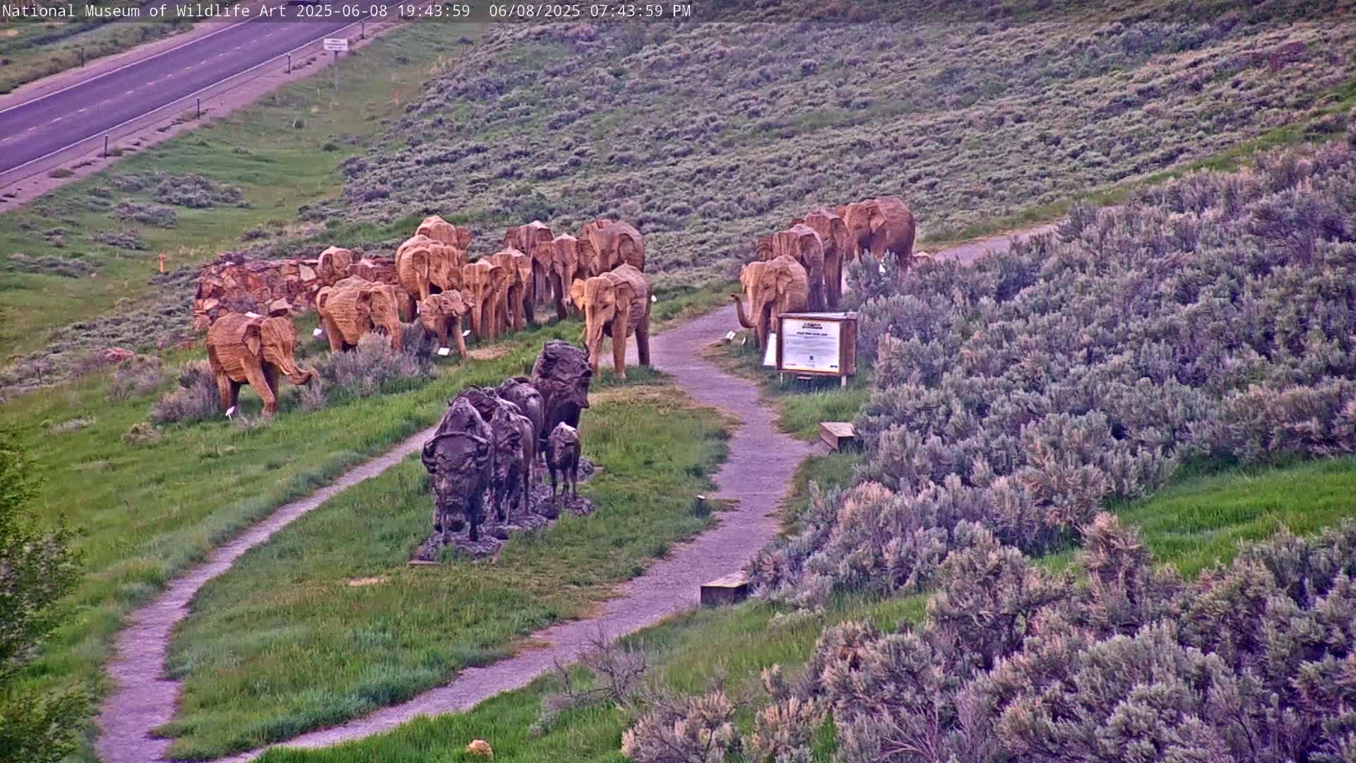 Jackson Hole, Elk Refuge from National Museum of Wildlife Art Live Cam -  Jackson, Teton, Wyoming, USA
