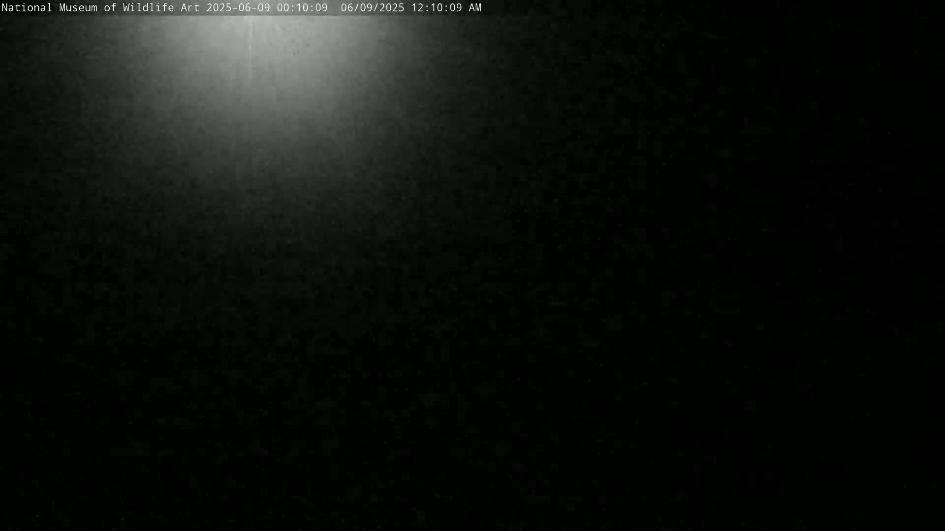 Jackson Hole, Elk Refuge from National Museum of Wildlife Art Live Cam -  Jackson, Teton, Wyoming, USA