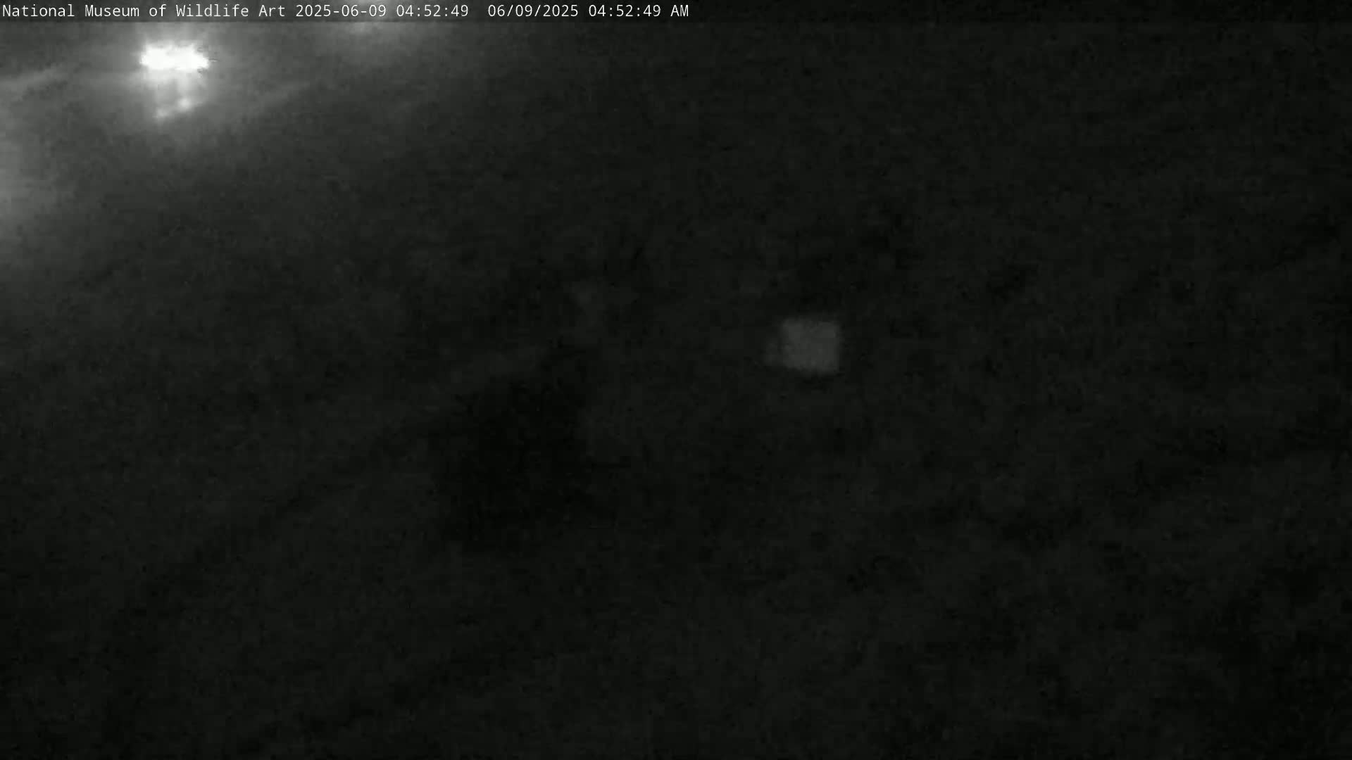 A dark, nighttime scene with a faintly visible light source in the upper left corner.
