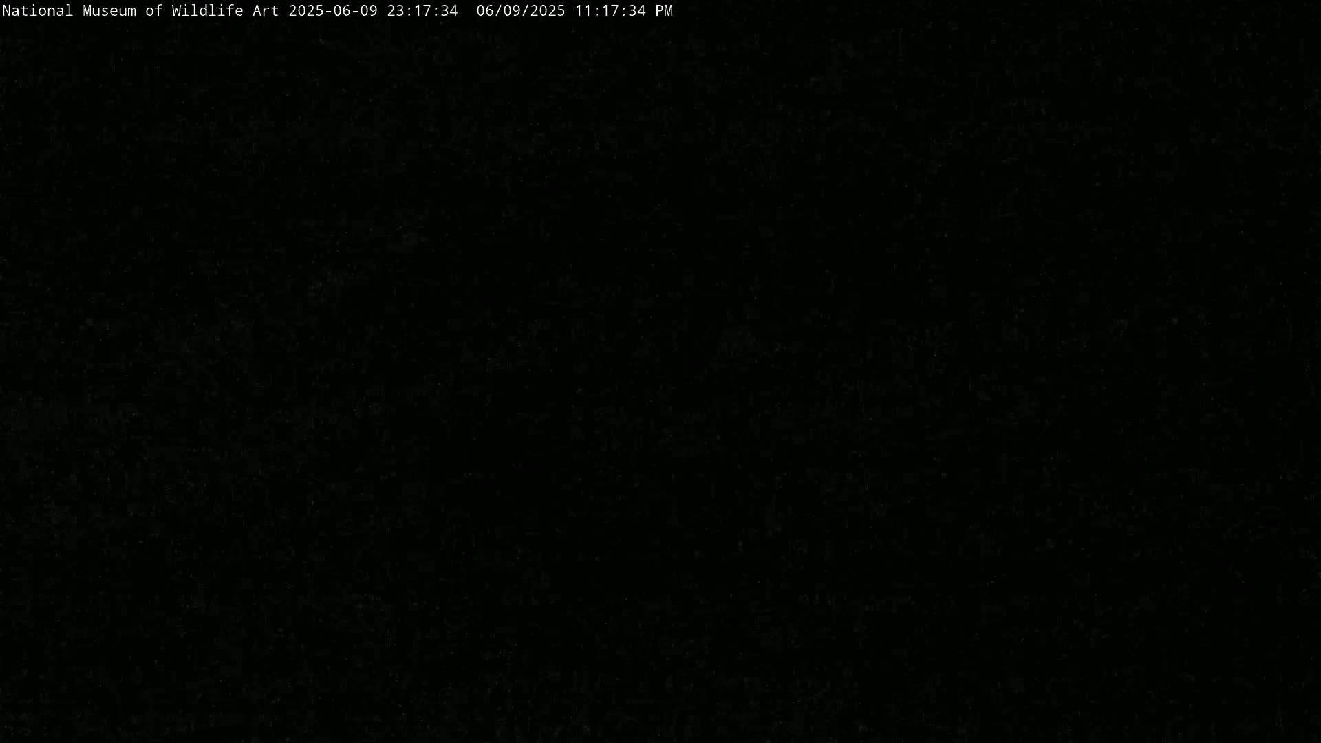 Jackson Hole, Elk Refuge from National Museum of Wildlife Art Live Cam -  Jackson, Teton, Wyoming, USA