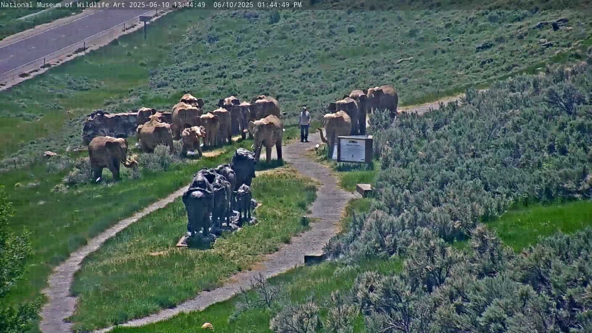 Jackson Hole, Elk Refuge from National Museum of Wildlife Art Live Cam -  Jackson, Teton, Wyoming, USA