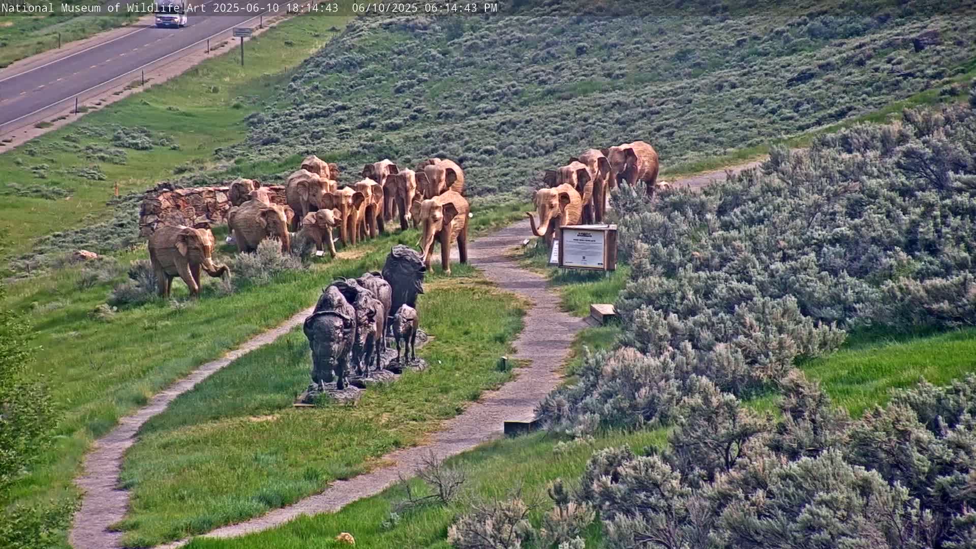 Jackson Hole, Elk Refuge from National Museum of Wildlife Art Live Cam -  Jackson, Teton, Wyoming, USA