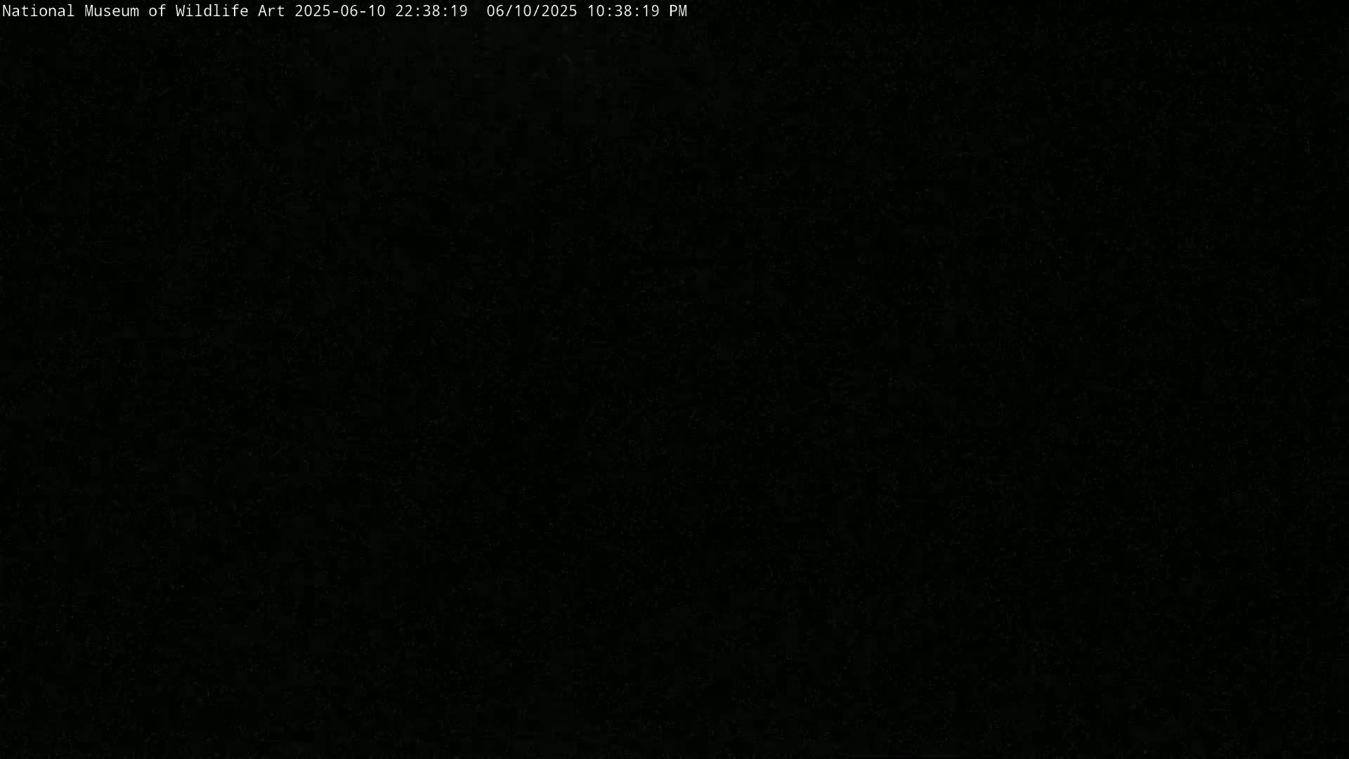 Jackson Hole, Elk Refuge from National Museum of Wildlife Art Live Cam -  Jackson, Teton, Wyoming, USA