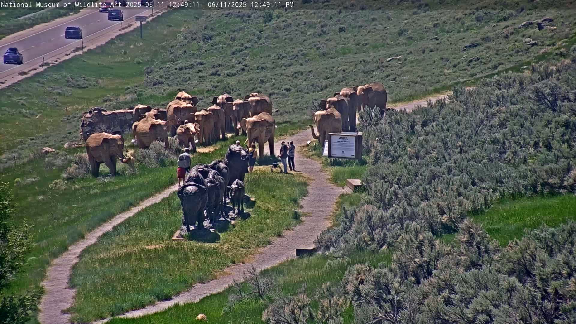 Jackson Hole, Elk Refuge from National Museum of Wildlife Art Live Cam -  Jackson, Teton, Wyoming, USA