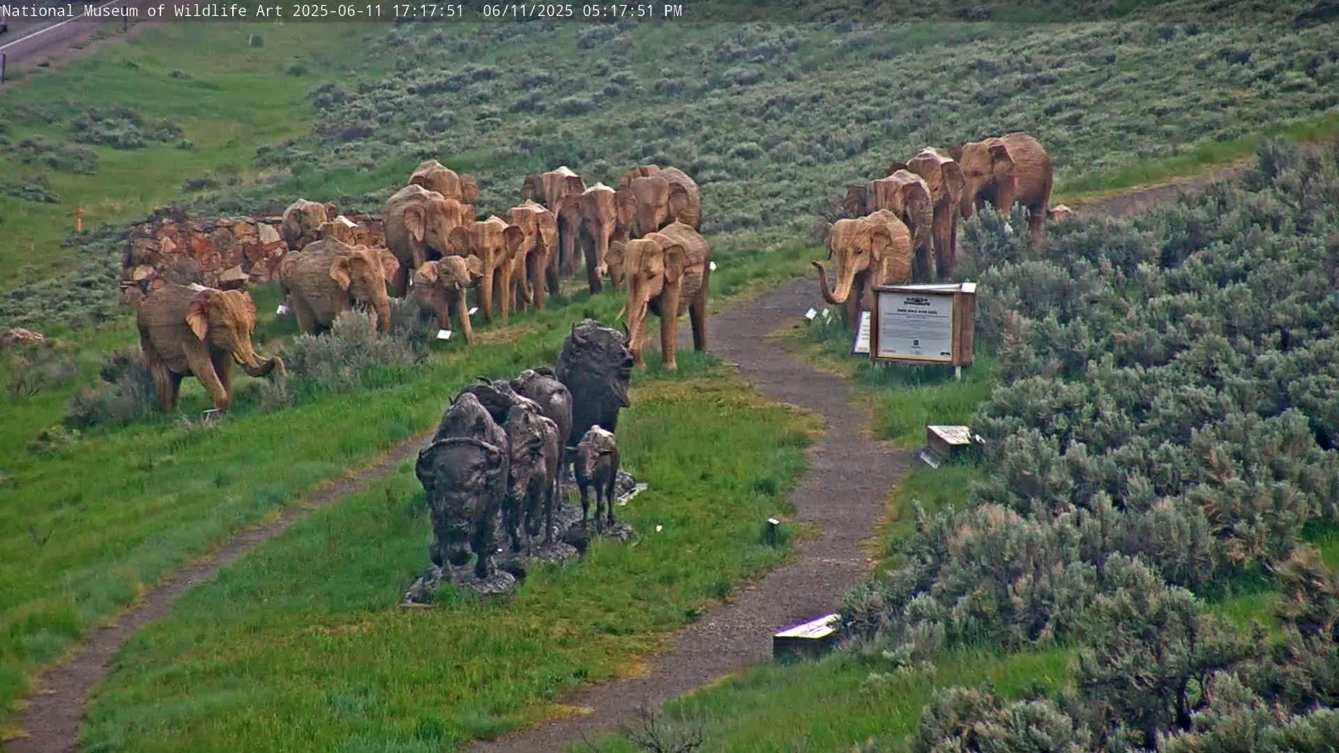 Jackson Hole, Elk Refuge from National Museum of Wildlife Art Live Cam -  Jackson, Teton, Wyoming, USA