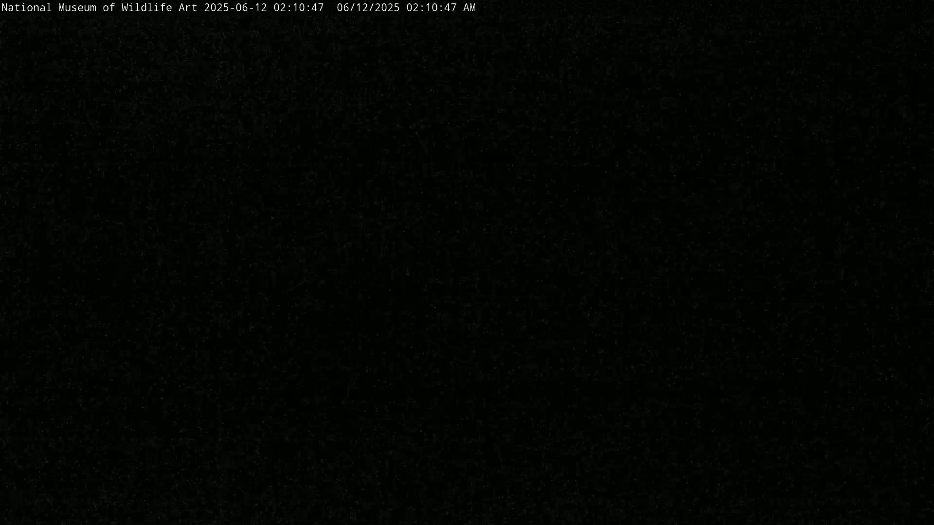 The image is a completely black screen with very faint, barely visible specks of light.