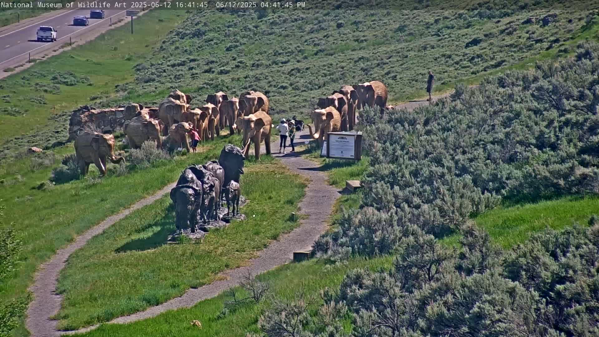 Jackson Hole, Elk Refuge from National Museum of Wildlife Art Live Cam -  Jackson, Teton, Wyoming, USA