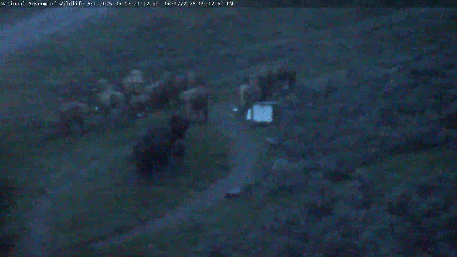 Jackson Hole, Elk Refuge from National Museum of Wildlife Art Live Cam -  Jackson, Teton, Wyoming, USA