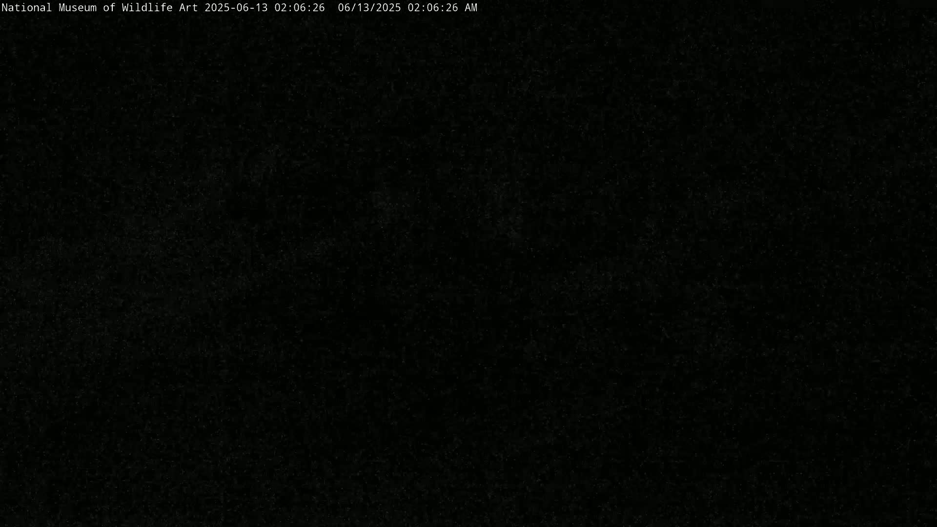 The image is a completely black screen with a slightly grainy texture.